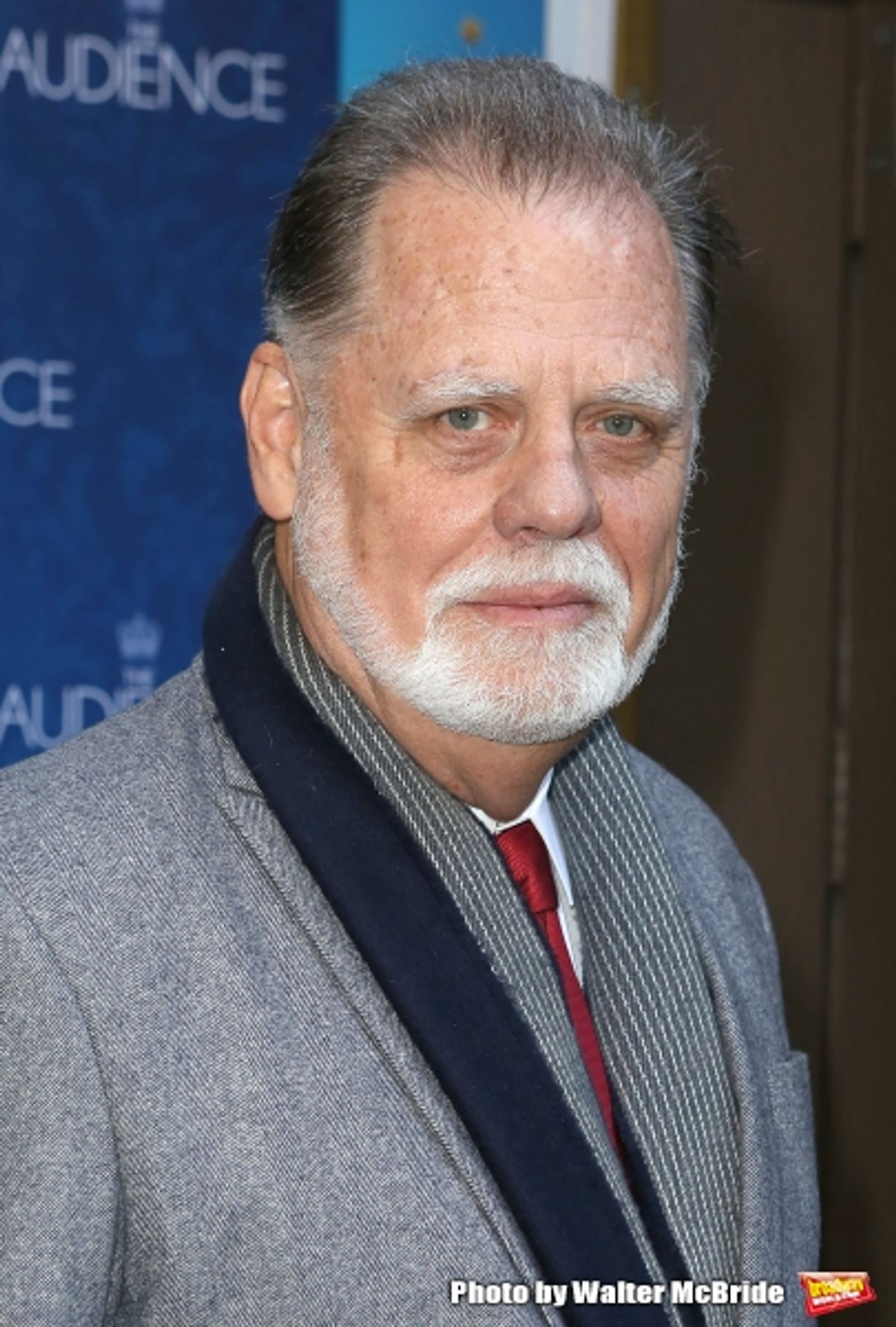 Photo Coverage: Inside THE AUDIENCE's Opening Night Theatre Arrivals!  Image