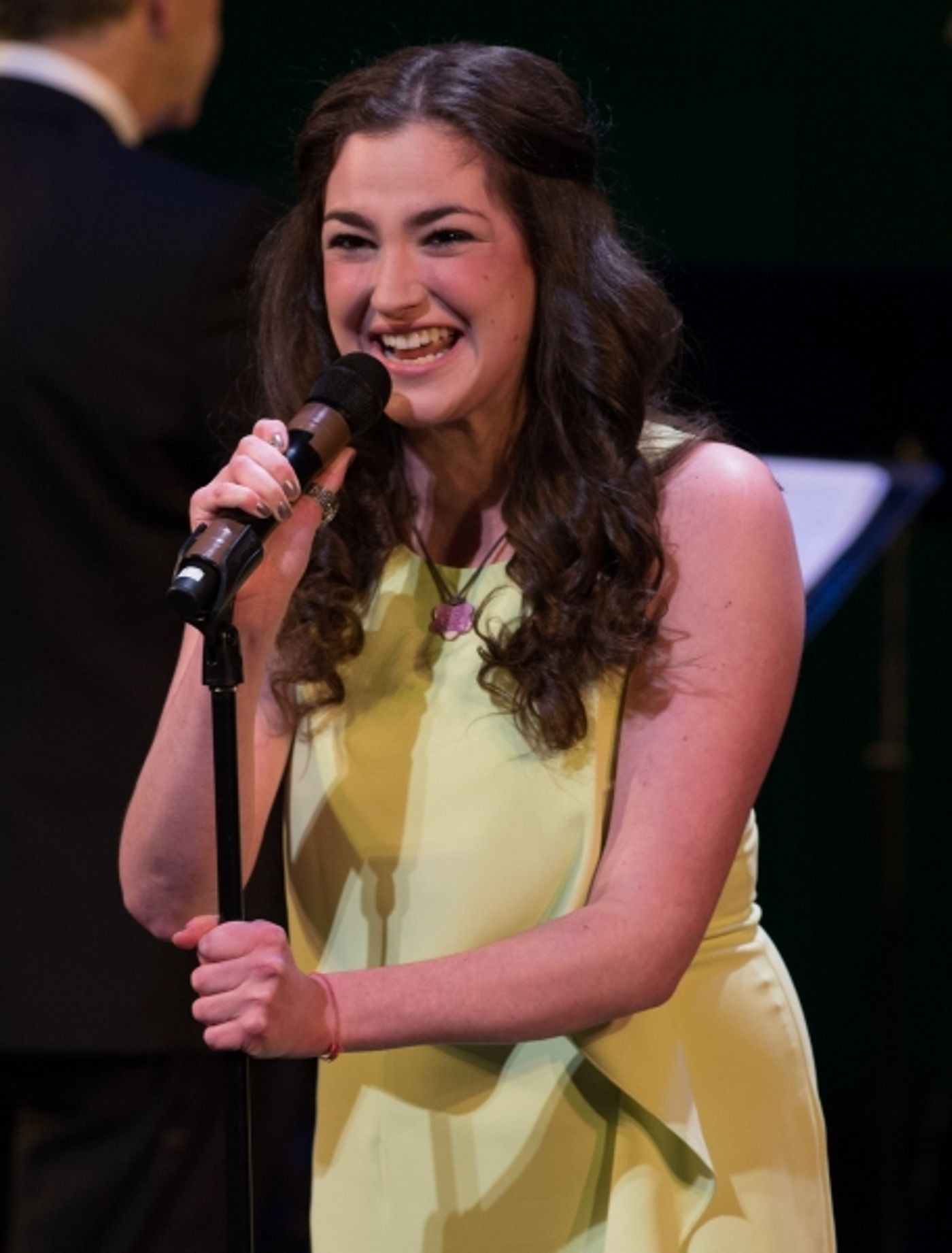 Photo Flash: Karen Ziemba, Brent Barrett, Lee Roy Reams and More in AMERICAN SHOWSTOPPERS  Image