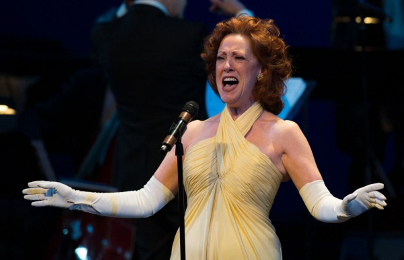 Photo Flash: Karen Ziemba, Brent Barrett, Lee Roy Reams and More in AMERICAN SHOWSTOPPERS  Image