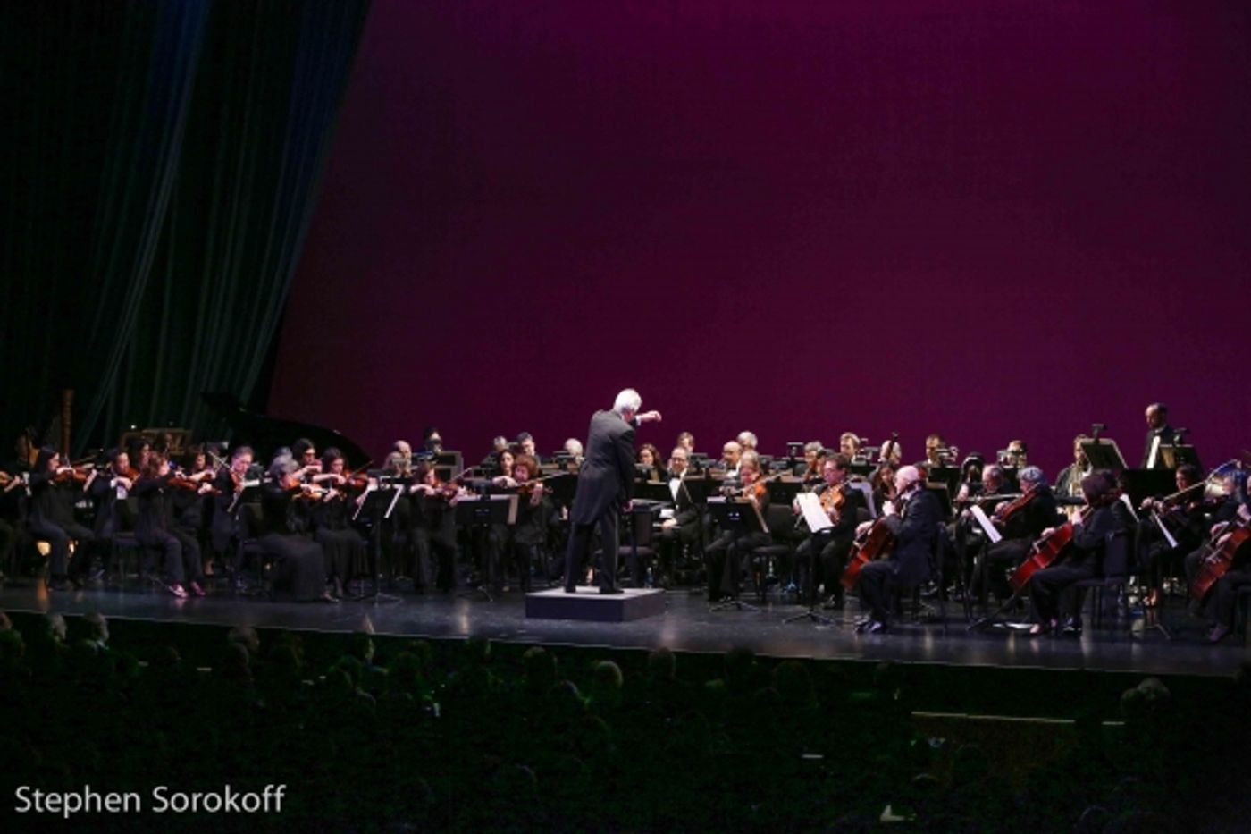 Photo Coverage: Sold-Out NYCO Renaissance Gala Celebrates Effort to Return THE PEOPLE'S OPERA to New York  Image