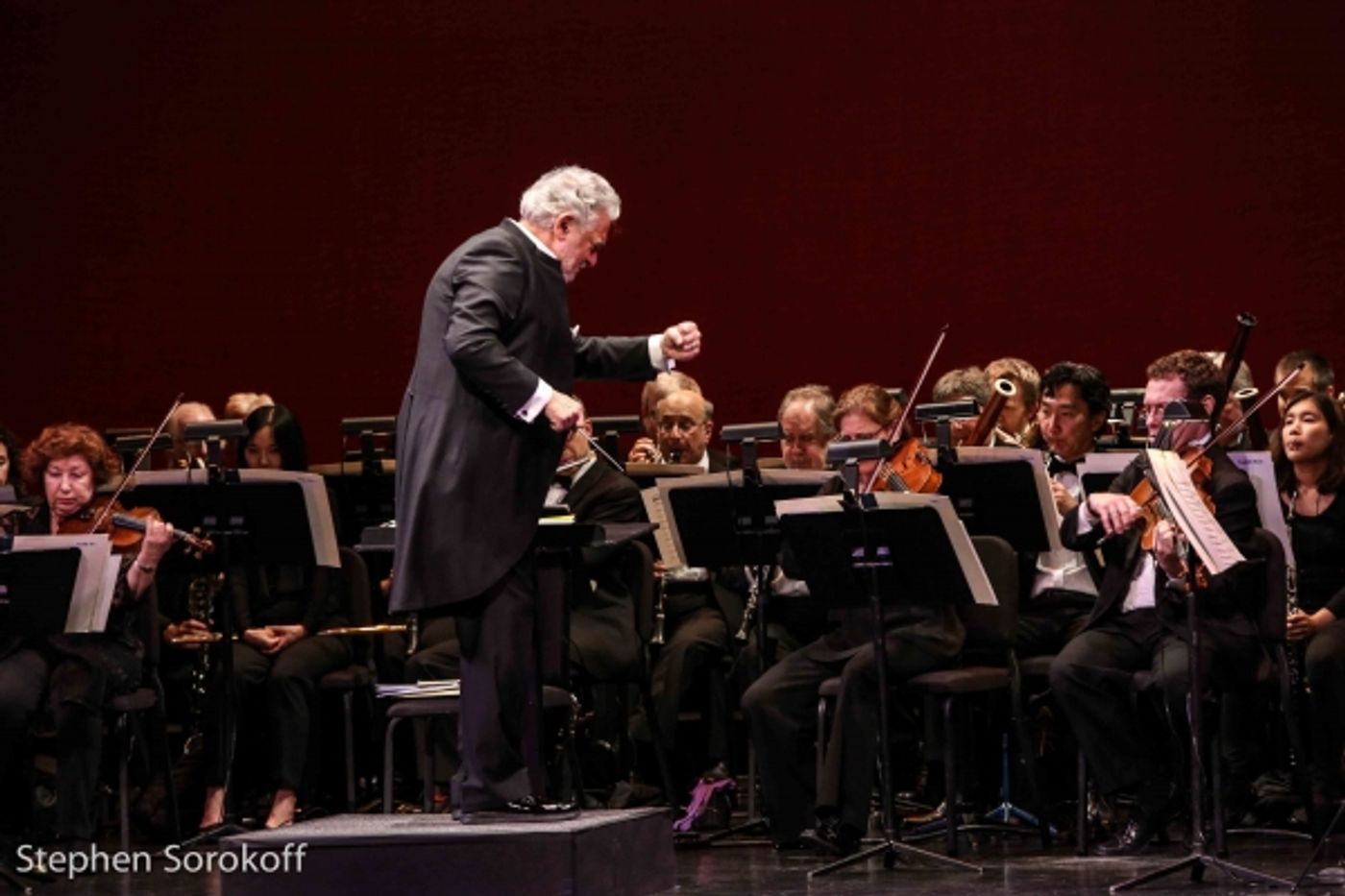 Photo Coverage: Sold-Out NYCO Renaissance Gala Celebrates Effort to Return THE PEOPLE'S OPERA to New York  Image
