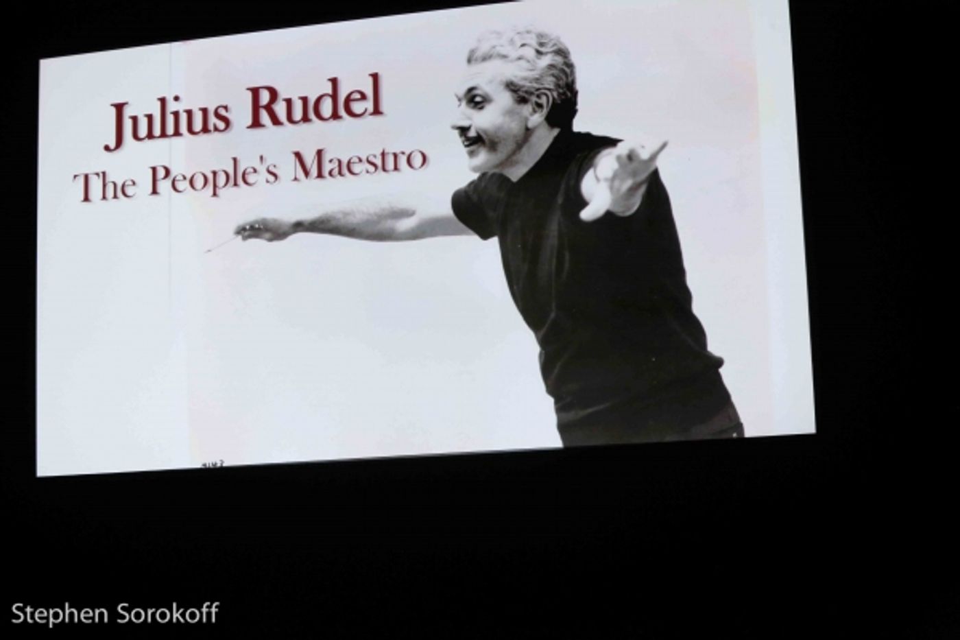 Photo Coverage: Sold-Out NYCO Renaissance Gala Celebrates Effort to Return THE PEOPLE'S OPERA to New York  Image