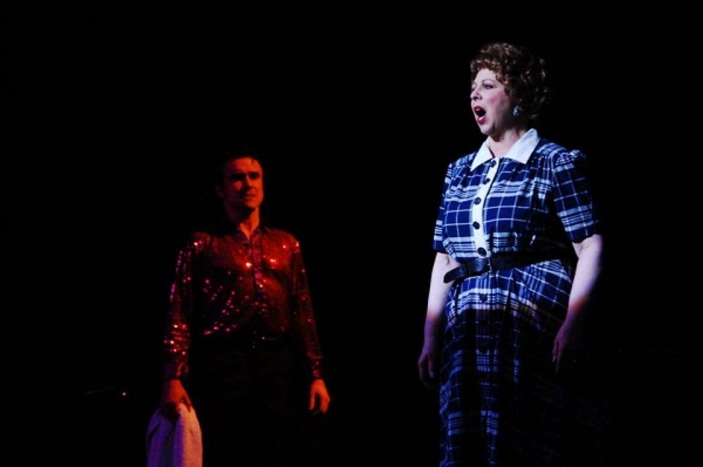 Photo Flash: First Look at Theatre Memphis' THE BOY FROM OZ  Image