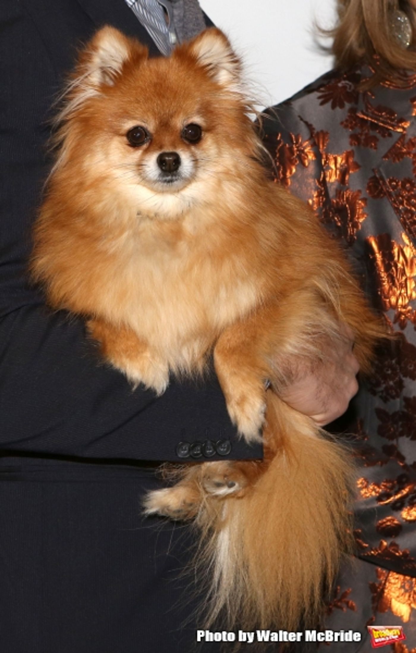 Photo Coverage: Meet the Company of Broadway's LIVING ON LOVE- Renée Fleming & More!  Image