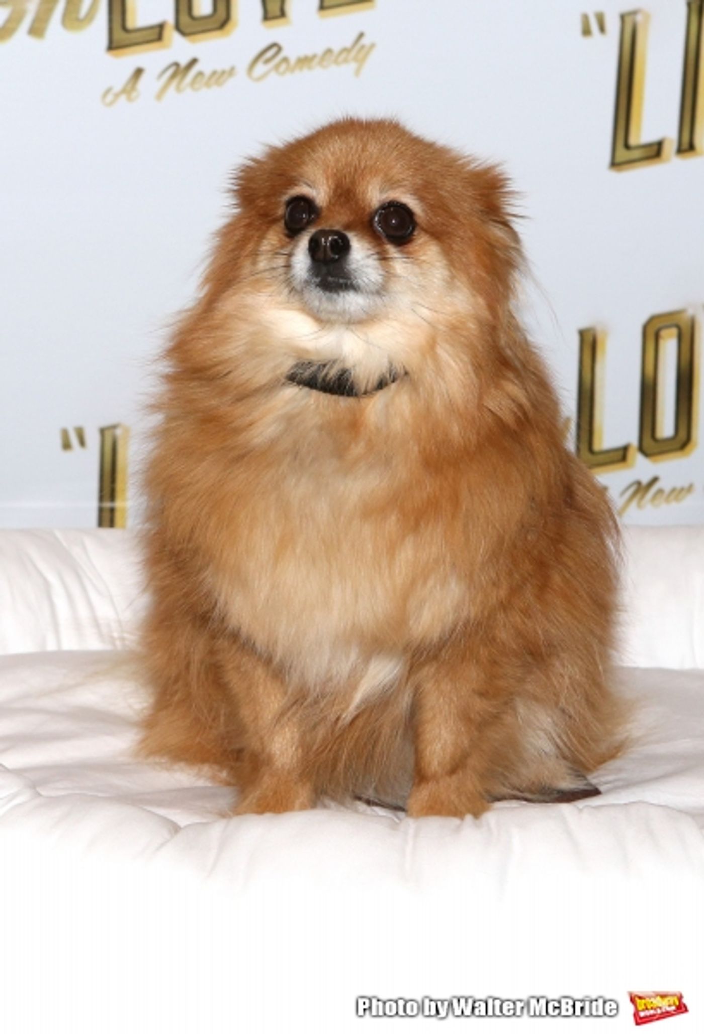 Photo Coverage: Meet the Company of Broadway's LIVING ON LOVE- Renée Fleming & More!  Image