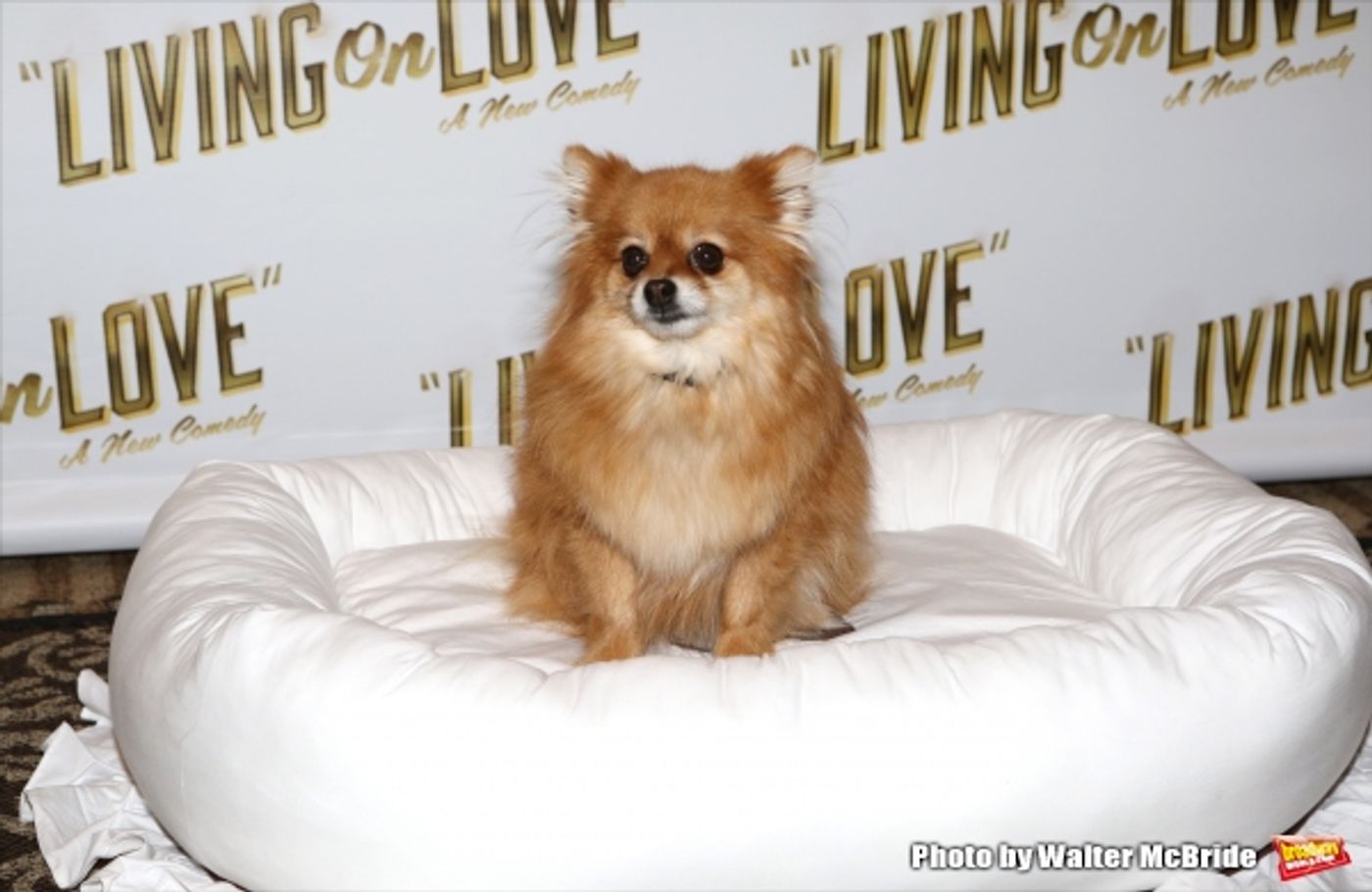 Photo Coverage: Meet the Company of Broadway's LIVING ON LOVE- Renée Fleming & More!  Image