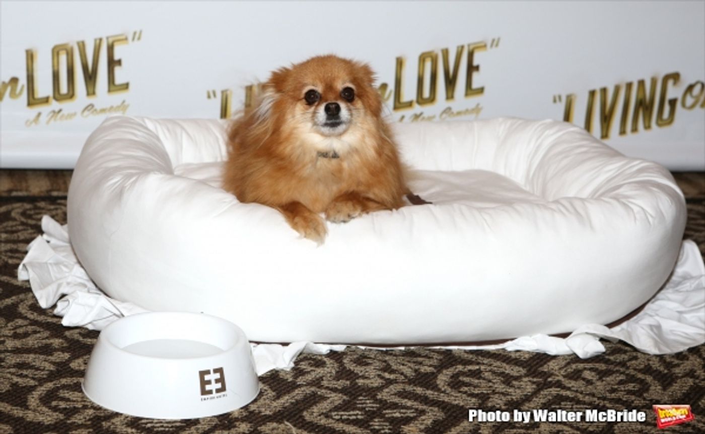 Photo Coverage: Meet the Company of Broadway's LIVING ON LOVE- Renée Fleming & More!  Image