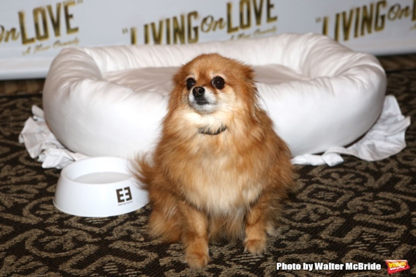 Photo Coverage: Meet the Company of Broadway's LIVING ON LOVE- Renée Fleming & More!  Image