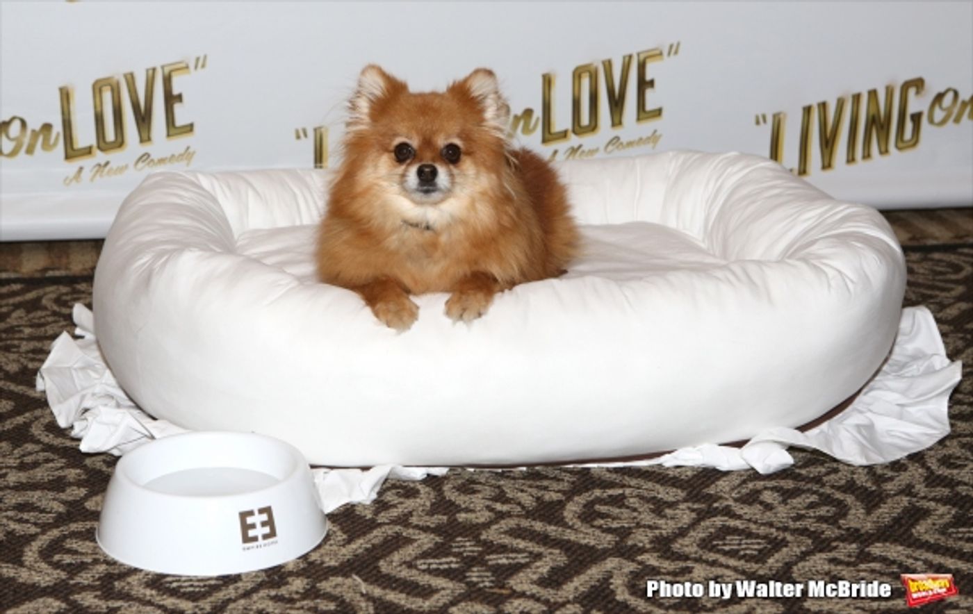 Photo Coverage: Meet the Company of Broadway's LIVING ON LOVE- Renée Fleming & More!  Image