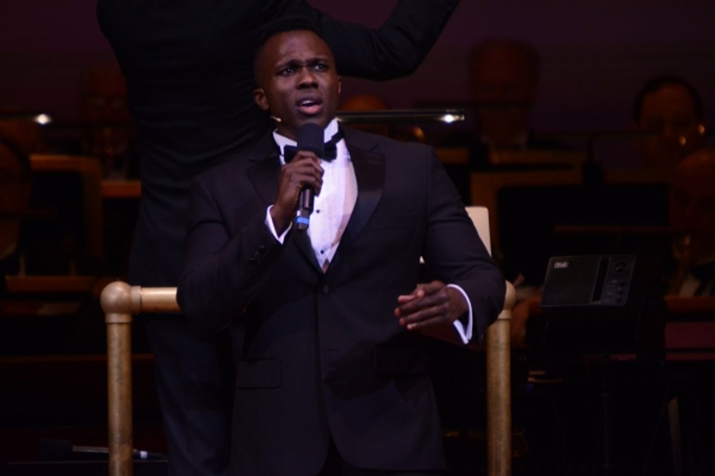 Photo Coverage: Sutton Foster Makes Carnegie Hall Solo Debut with NY Pops  Image