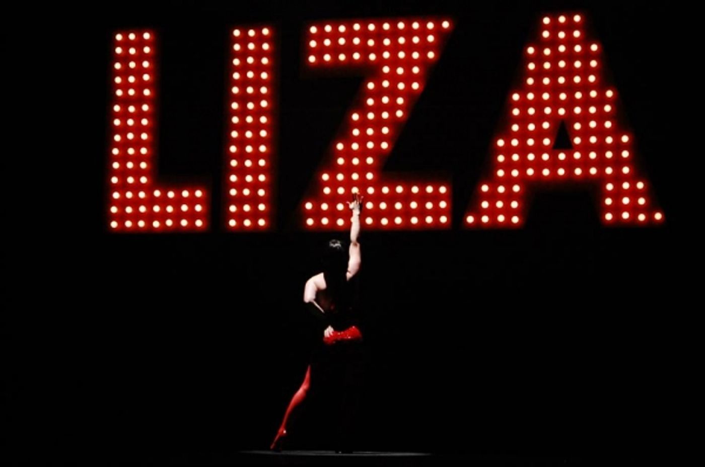 Photo Flash: First Look - THE BOY FROM OZ at Theatre Memphis Image