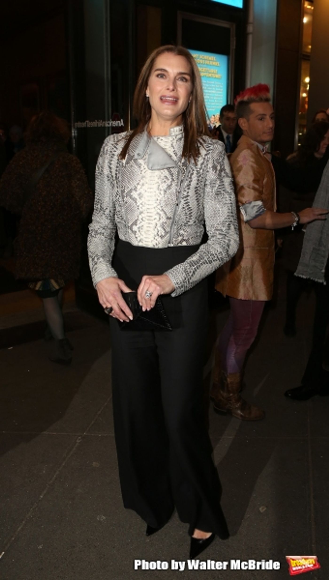 Photo Coverage: Inside ON THE TWENTIETH CENTURY's Opening Night Theatre Arrivals!  Image