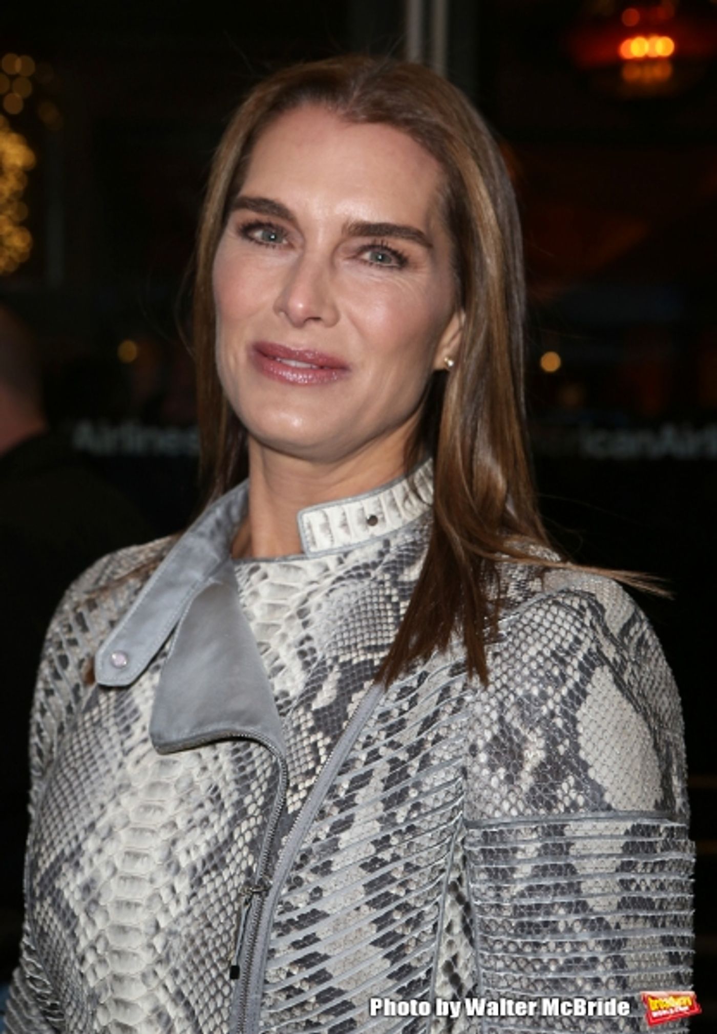 Photo Coverage: Inside ON THE TWENTIETH CENTURY's Opening Night Theatre Arrivals!  Image