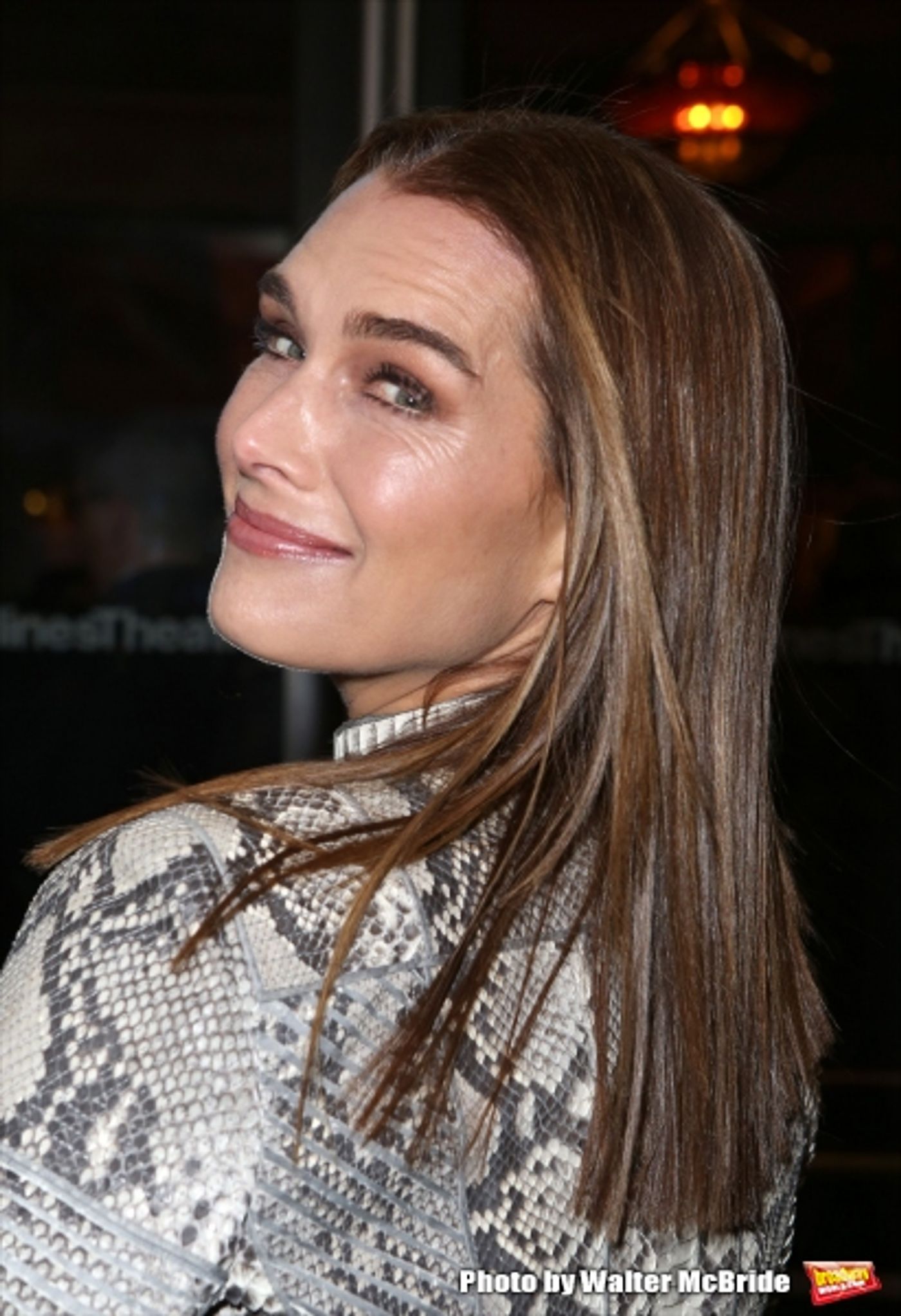 Photo Coverage: Inside ON THE TWENTIETH CENTURY's Opening Night Theatre Arrivals!  Image