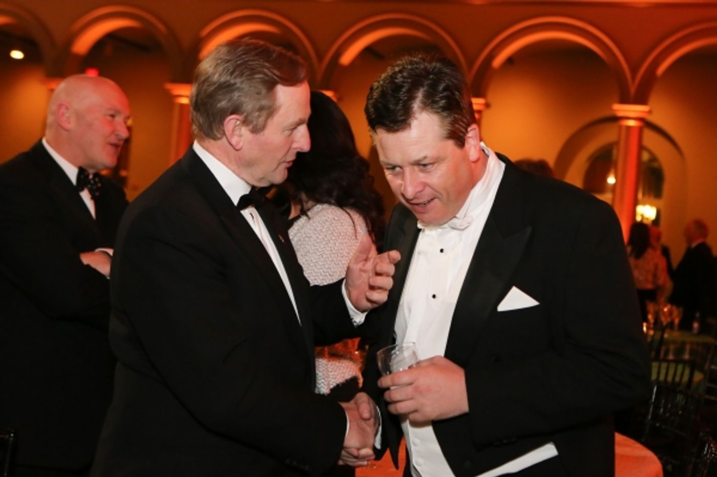 Photo Flash: Tenor Anthony Kearns Plays The American Ireland Fund 23rd Gala  Image