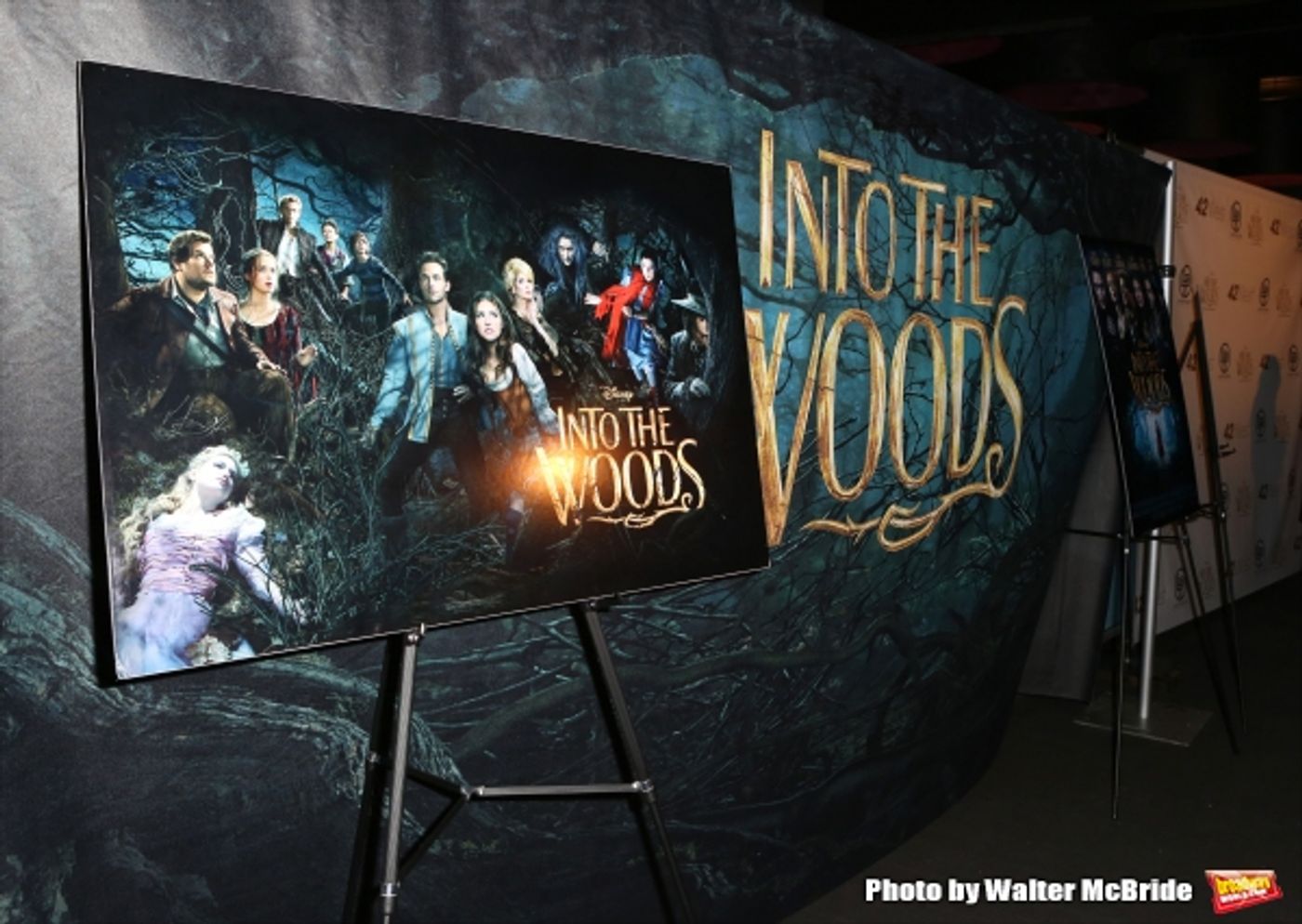 Photo Coverage: On the Red Carpet for A MUSICAL TRIBUTE TO STEPHEN SONDHEIM Photo Coverage: On the Red Carpet for A MUSICAL TRIBUTE TO STEPHEN SONDHEIM Image