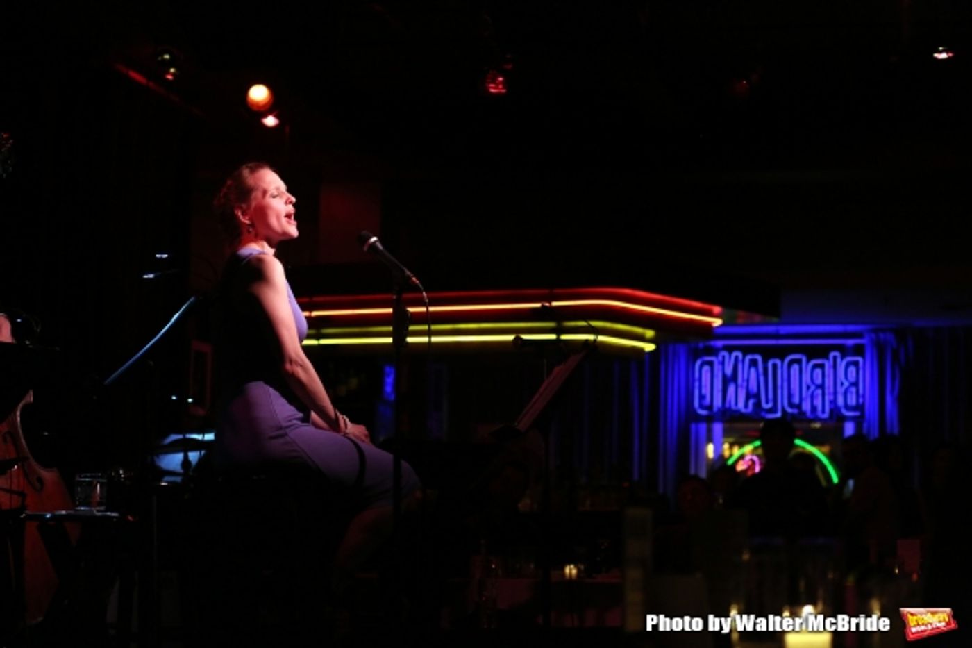 Photo Coverage: Mommy-To-Be Anika Larsen Performs SING YOU TO SLEEP at Birdland! Photo Coverage: Mommy-To-Be Anika Larsen Performs SING YOU TO SLEEP at Birdland! Image