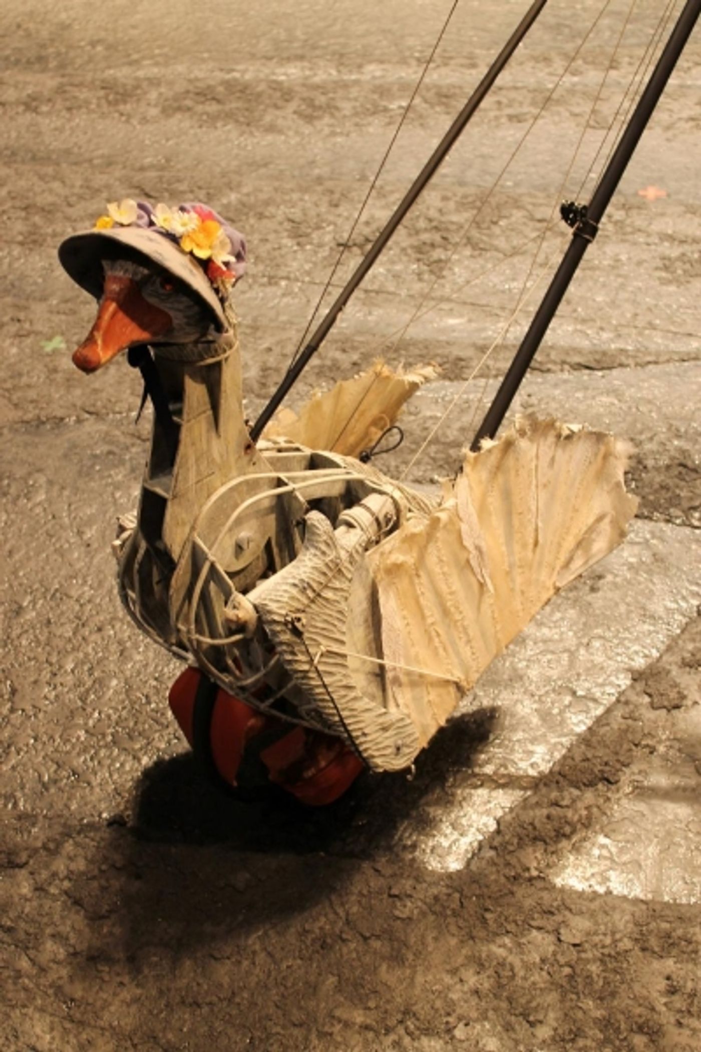 Photo Flash: Joey and the Cast of WAR HORSE Take Part in 'Wear a Hat' Day for Brain Tumour Research  Image
