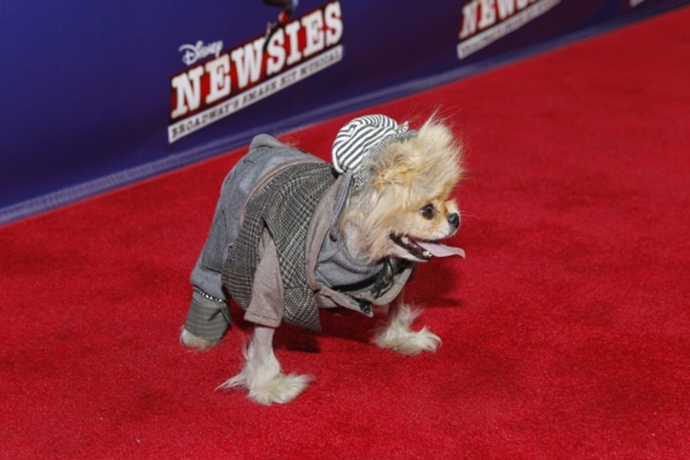 Photo Flash: Alan Menken, Jack Feldman, Jeff Calhoun and More Celebrate NEWSIES Opening in Los Angeles  Image