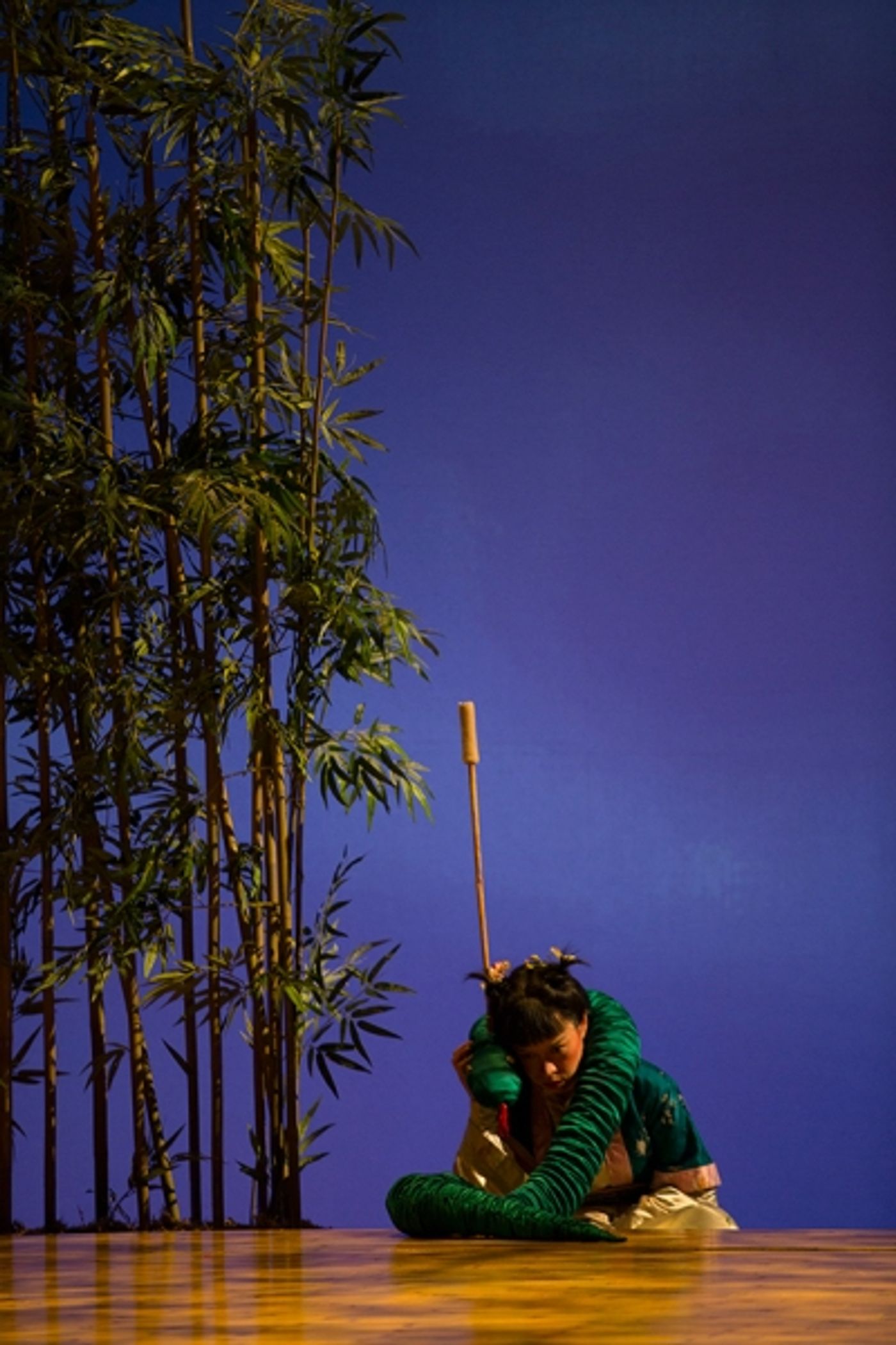 Photo Flash: Mary Zimmerman's THE WHITE SNAKE Comes to The Old Globe  Image