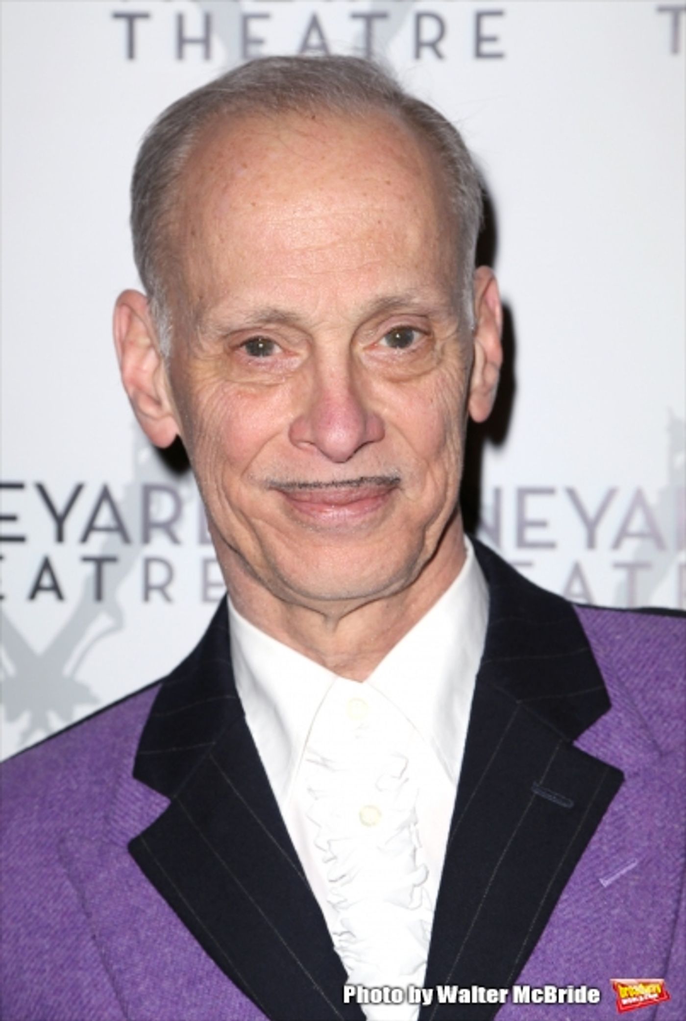 Photo Coverage: On the Red Carpet for Vineyard Theatre's 2015 Gala, Honoring Margo Lion  Image