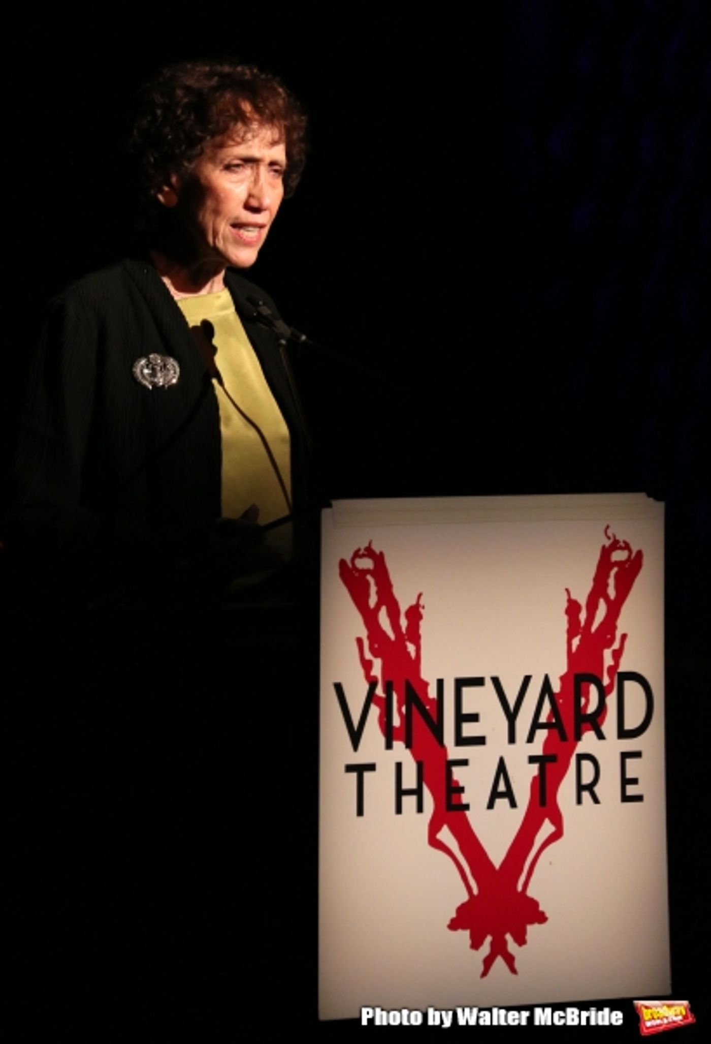 Photo Coverage: Inside Vineyard Theatre's 2015 Gala Celebrating Margo Lion!  Image