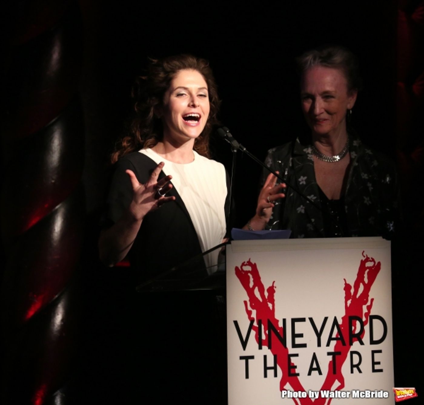 Photo Coverage: Inside Vineyard Theatre's 2015 Gala Celebrating Margo Lion!  Image