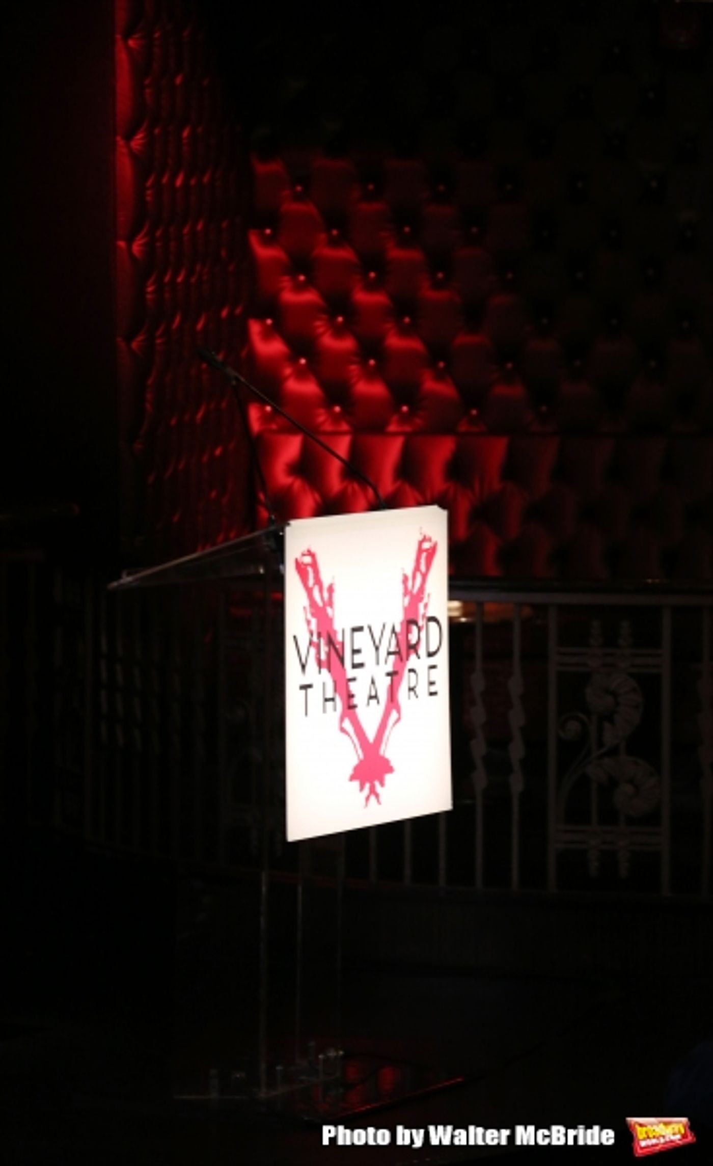 Photo Coverage: Inside Vineyard Theatre's 2015 Gala Celebrating Margo Lion!  Image