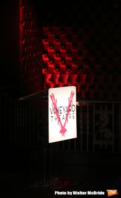 The 2015 Vineyard Theatre Gala presentation Photo