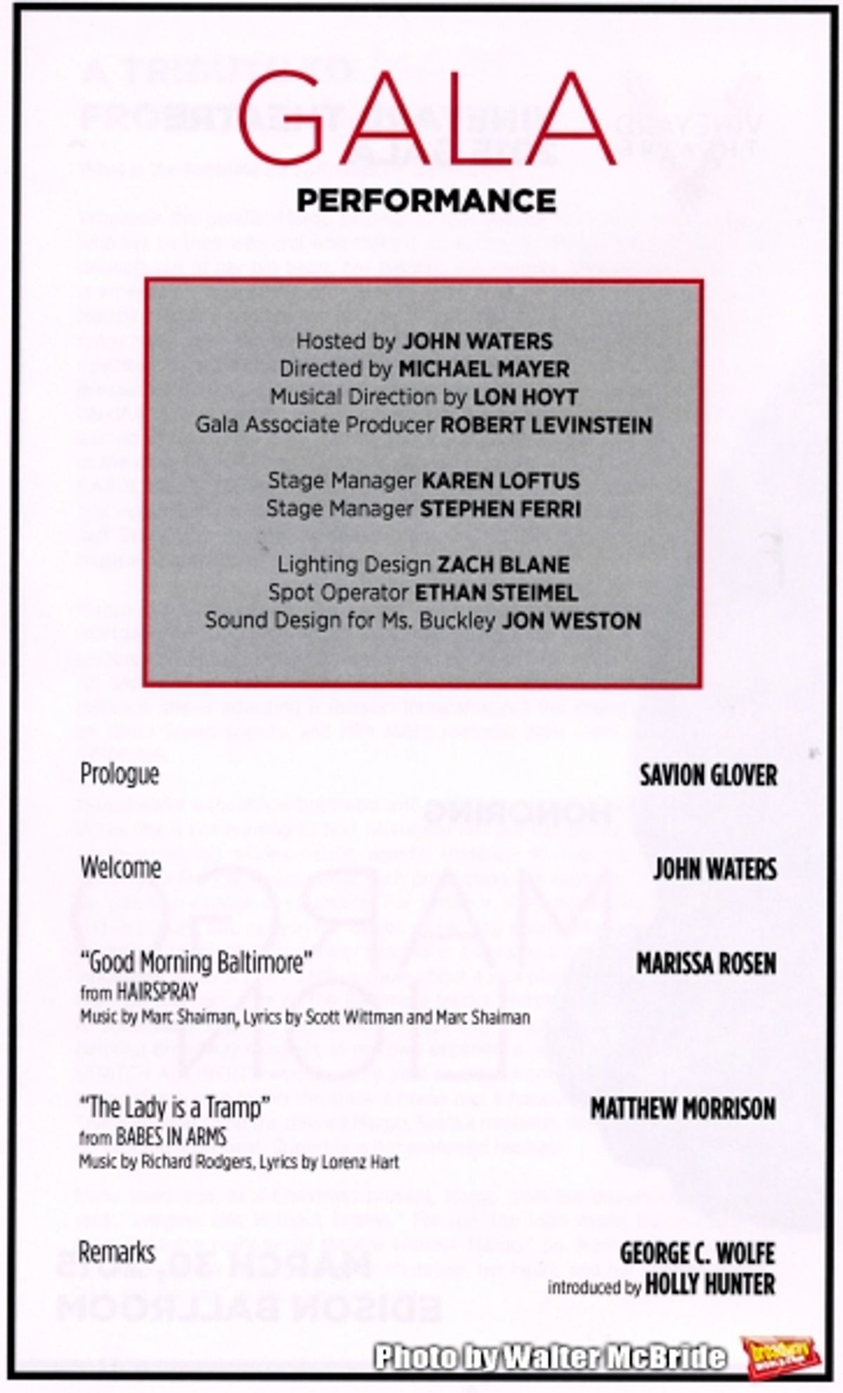 The 2015 Vineyard Theatre Gala  at 