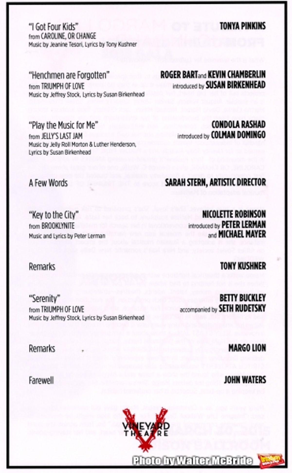 The 2015 Vineyard Theatre Gala at 