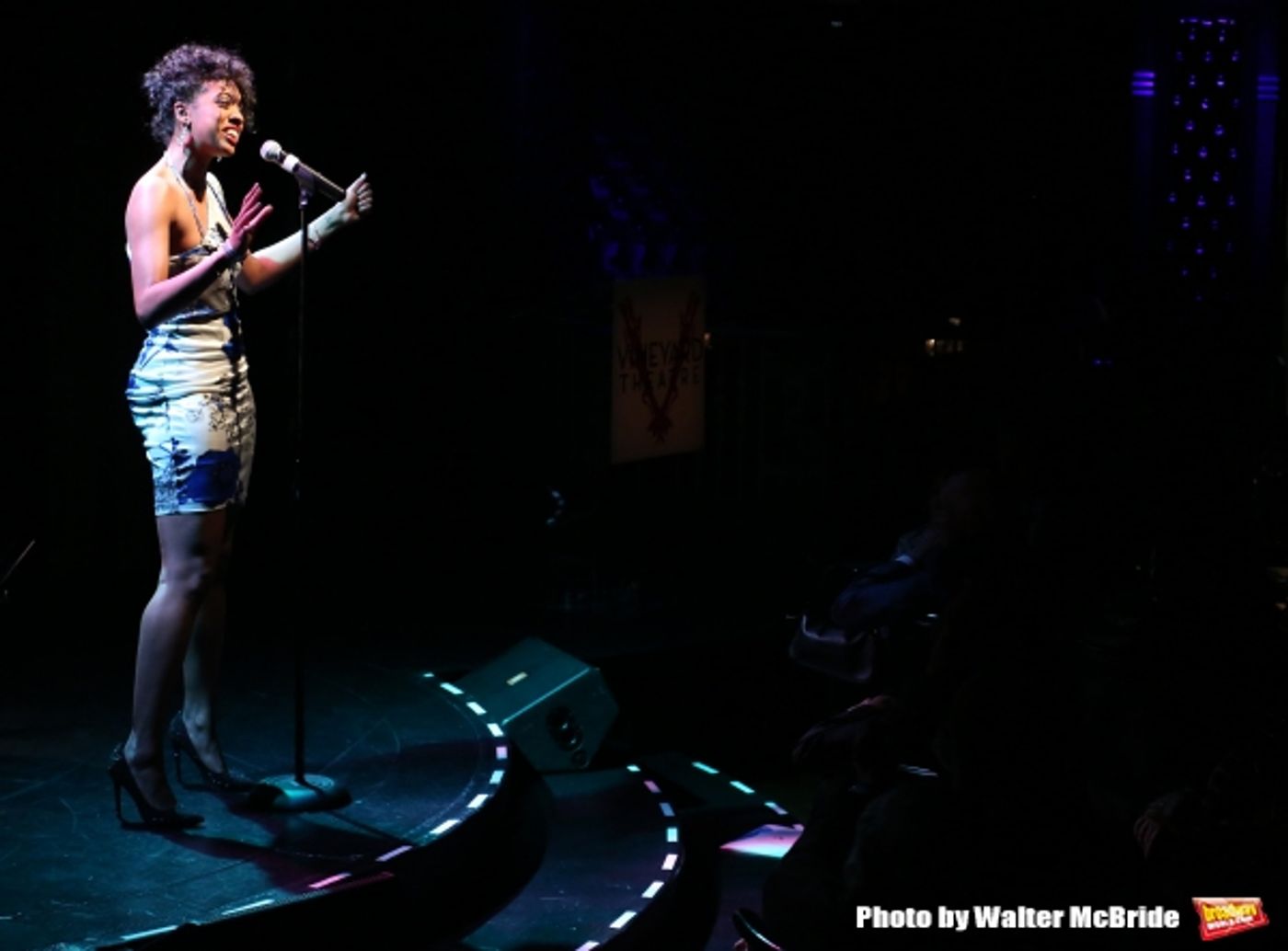 Photo Coverage: Inside Vineyard Theatre's 2015 Gala Celebrating Margo Lion- Part 2  Image