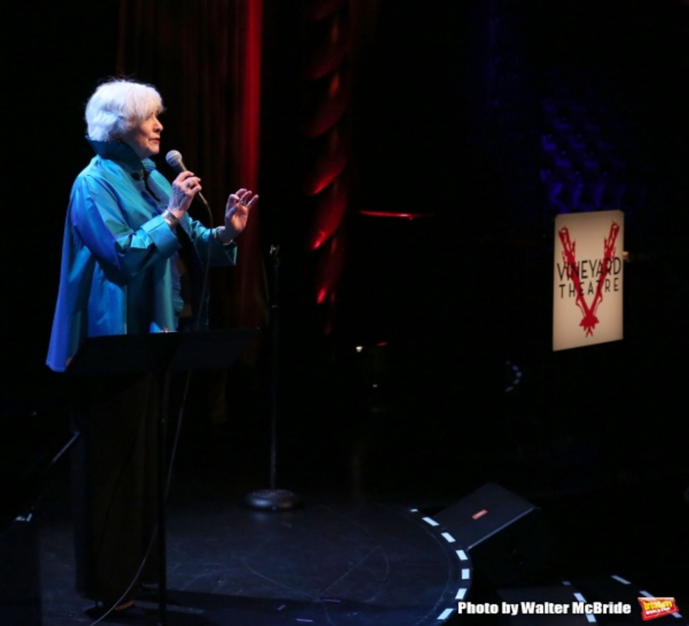 Photo Coverage: Inside Vineyard Theatre's 2015 Gala Celebrating Margo Lion- Part 2  Image