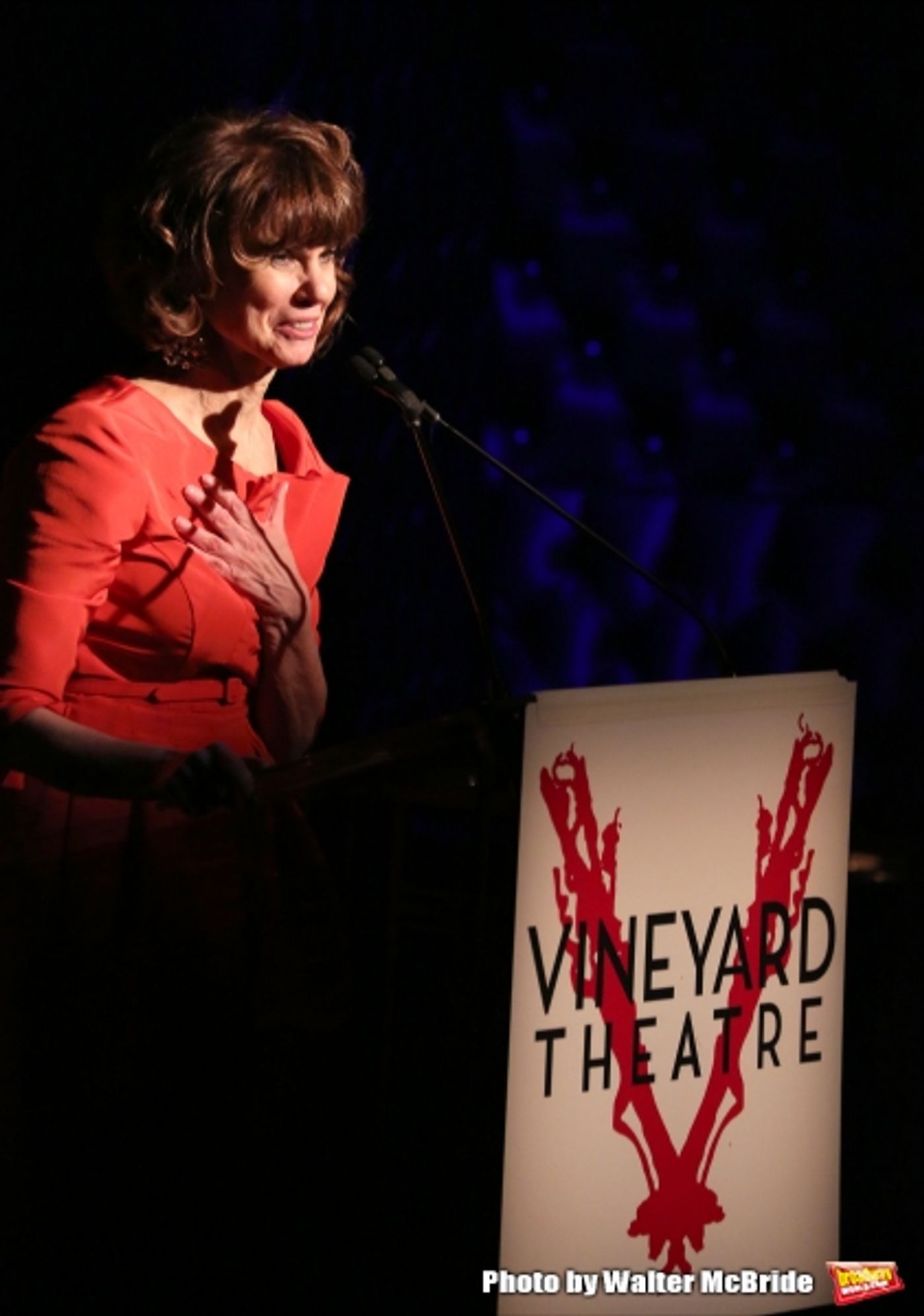 Photo Coverage: Inside Vineyard Theatre's 2015 Gala Celebrating Margo Lion- Part 2  Image