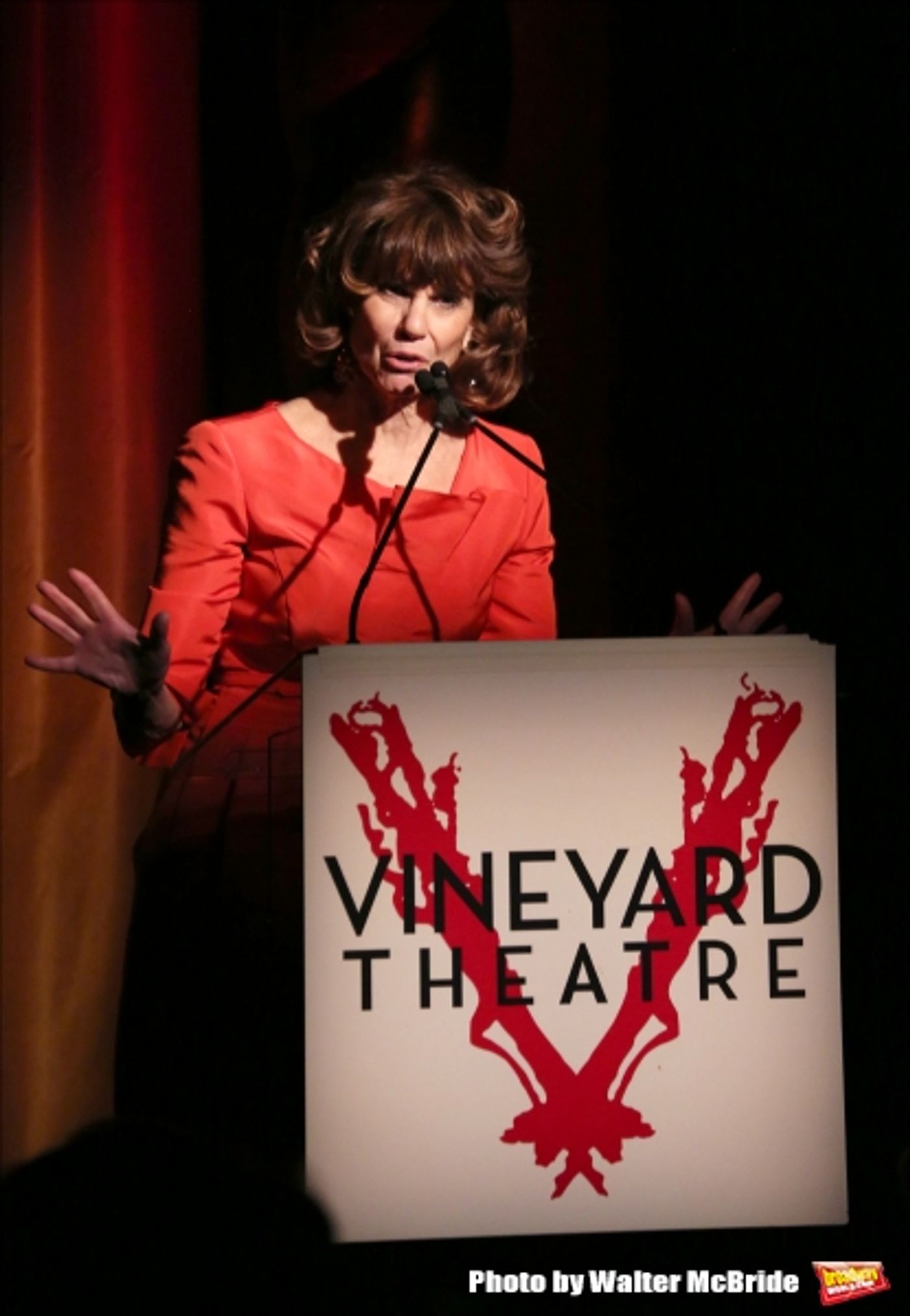 Photo Coverage: Inside Vineyard Theatre's 2015 Gala Celebrating Margo Lion- Part 2  Image