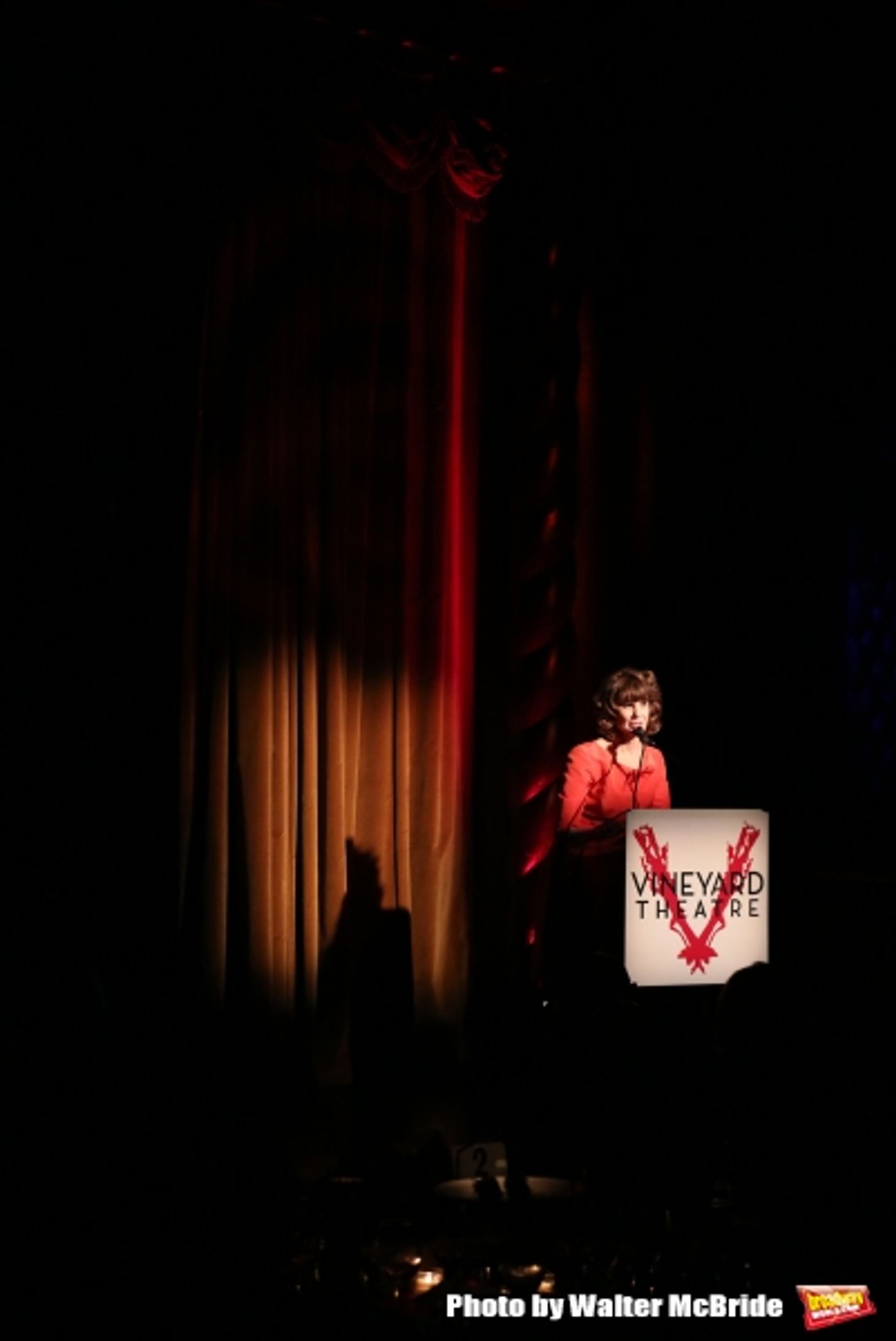 Photo Coverage: Inside Vineyard Theatre's 2015 Gala Celebrating Margo Lion- Part 2  Image