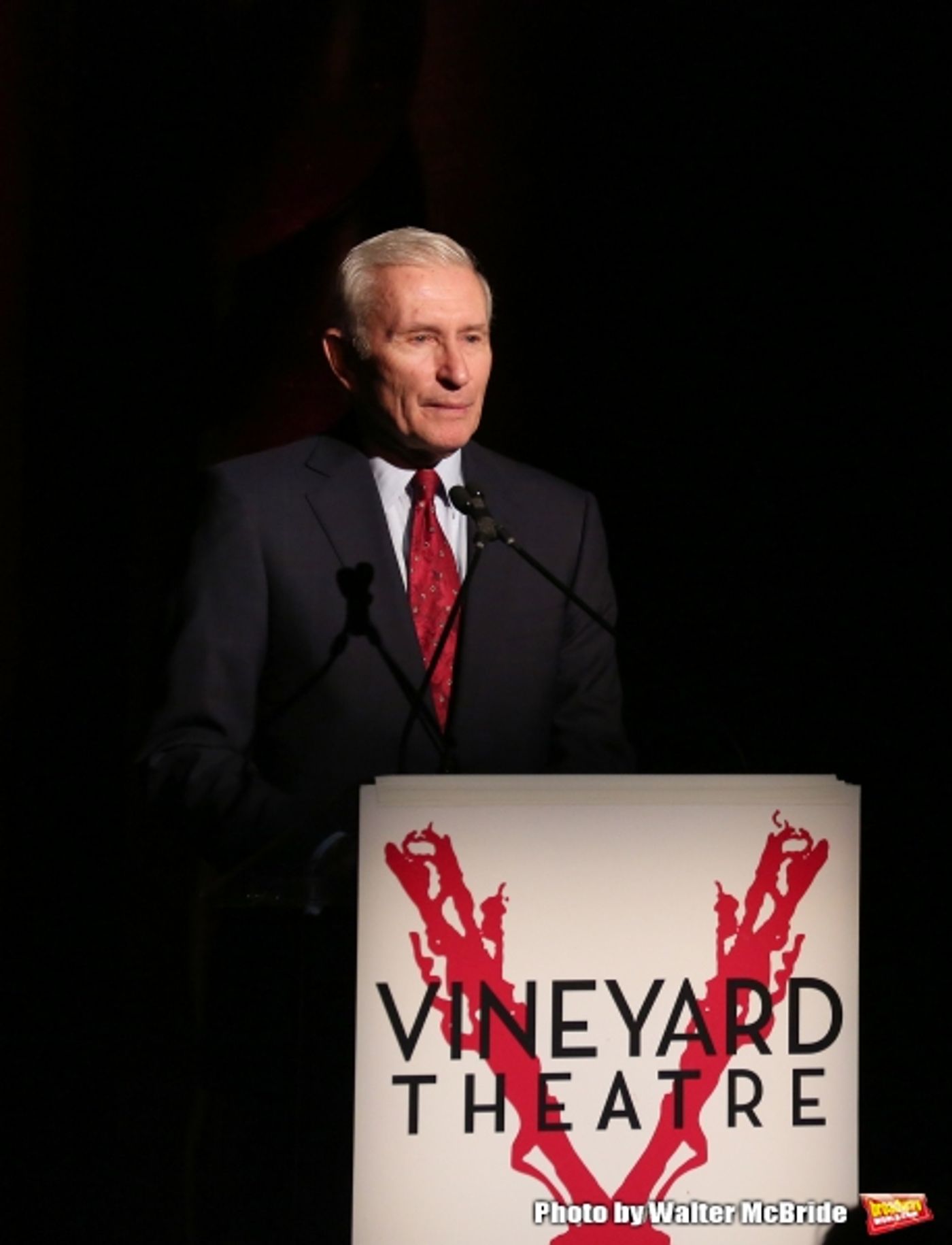 Photo Coverage: Inside Vineyard Theatre's 2015 Gala Celebrating Margo Lion- Part 2  Image