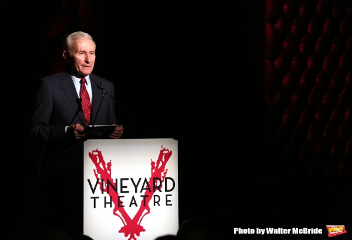 Photo Coverage: Inside Vineyard Theatre's 2015 Gala Celebrating Margo Lion- Part 2  Image