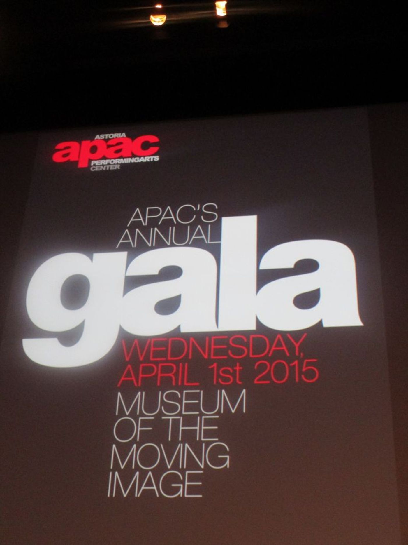 Photo Coverage: R&H President Ted Chapin Honored by Queens Theater  Image