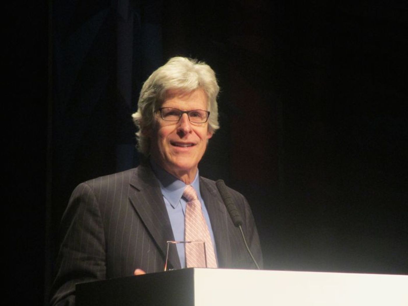 Photo Coverage: R&H President Ted Chapin Honored by Queens Theater  Image