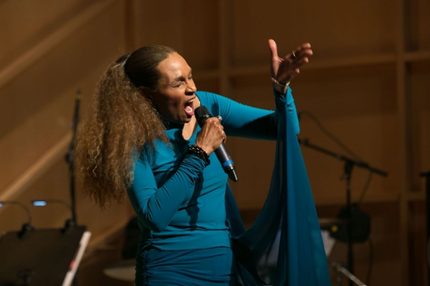 Photo Flash: Norm Lewis, Danny Holgate, Vivian Reed and More at 2015 Amas Musical Theatre Gala  Image