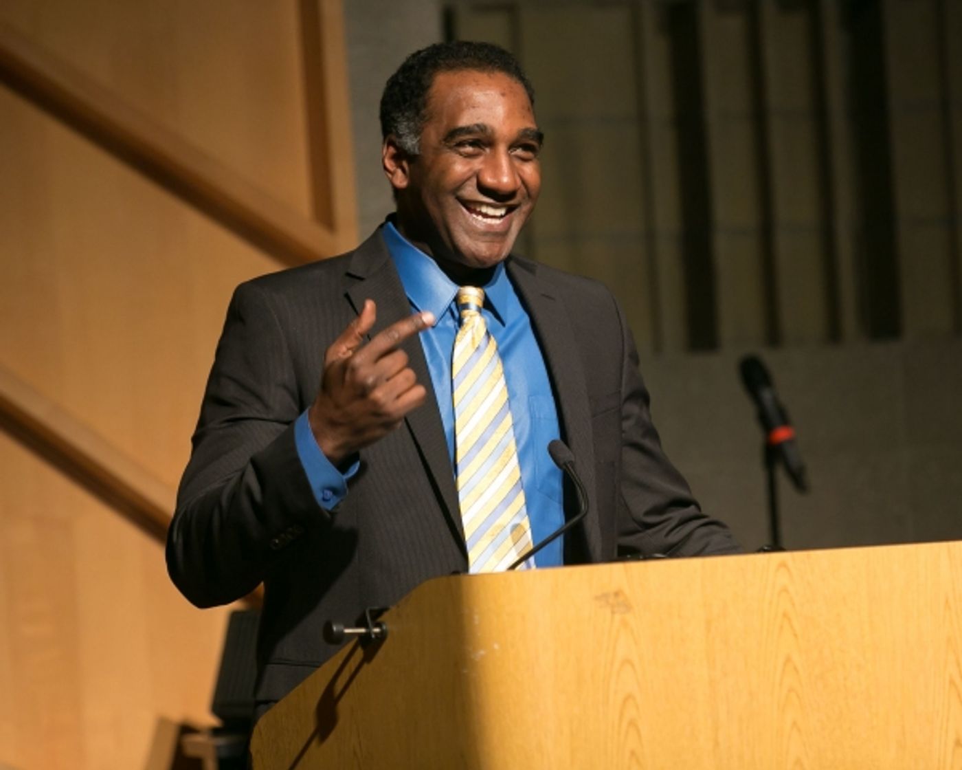 Photo Flash: Norm Lewis, Danny Holgate, Vivian Reed and More at 2015 Amas Musical Theatre Gala  Image