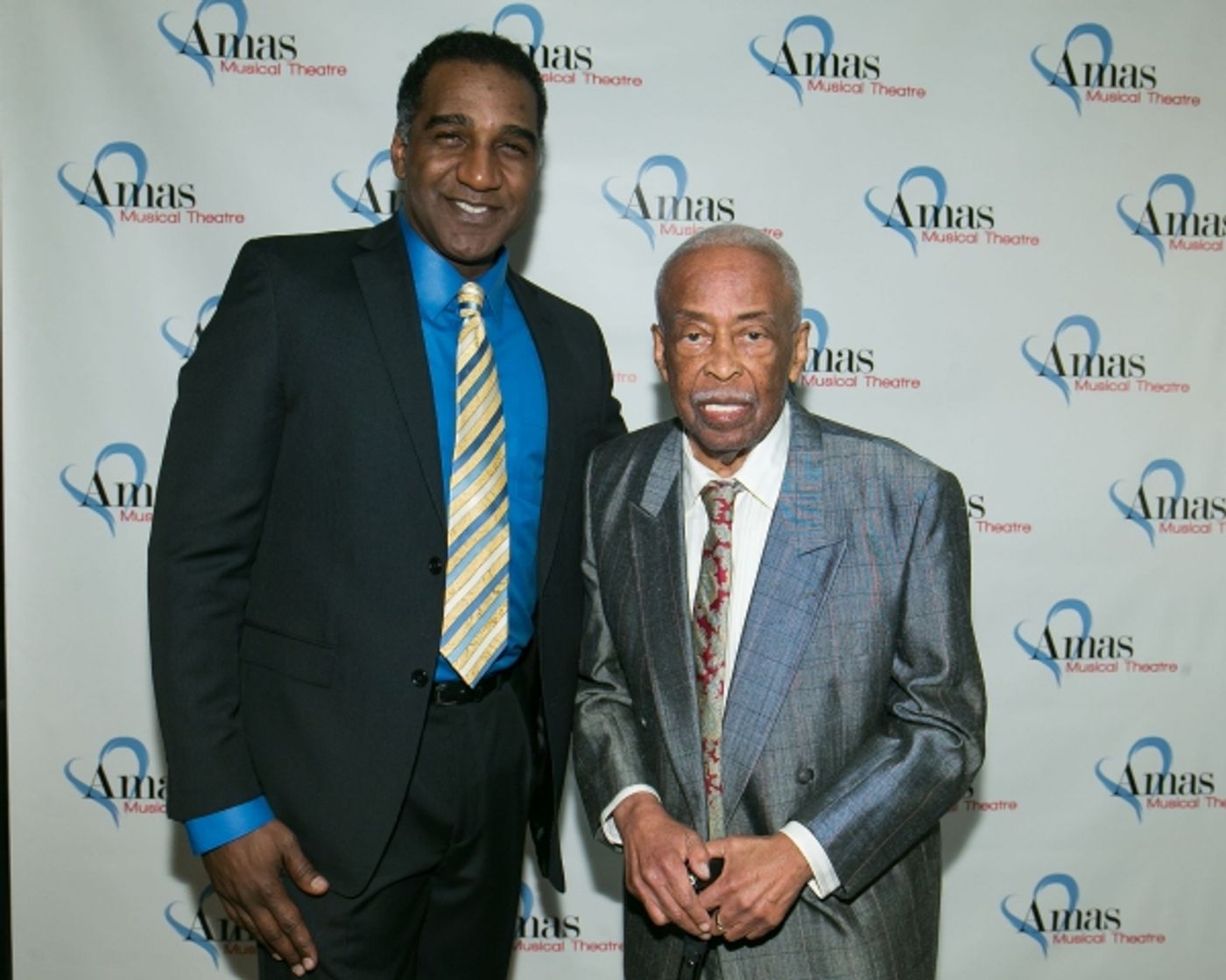 Photo Flash: Norm Lewis, Danny Holgate, Vivian Reed and More at 2015 Amas Musical Theatre Gala  Image