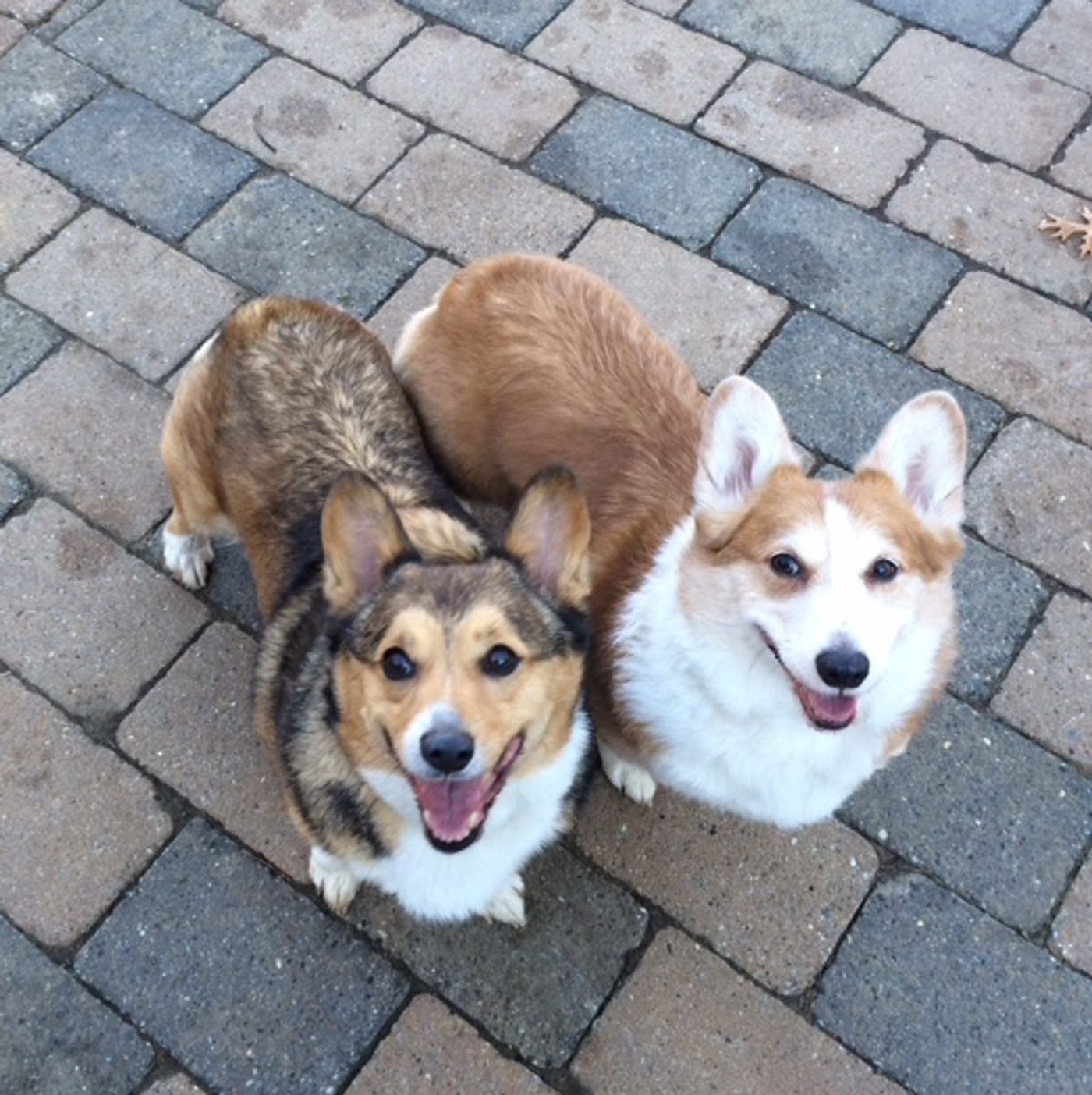 BWW Exclusive: Diary of an Englishman in New York- How long has it taken YOU to get to Broadway?  Image