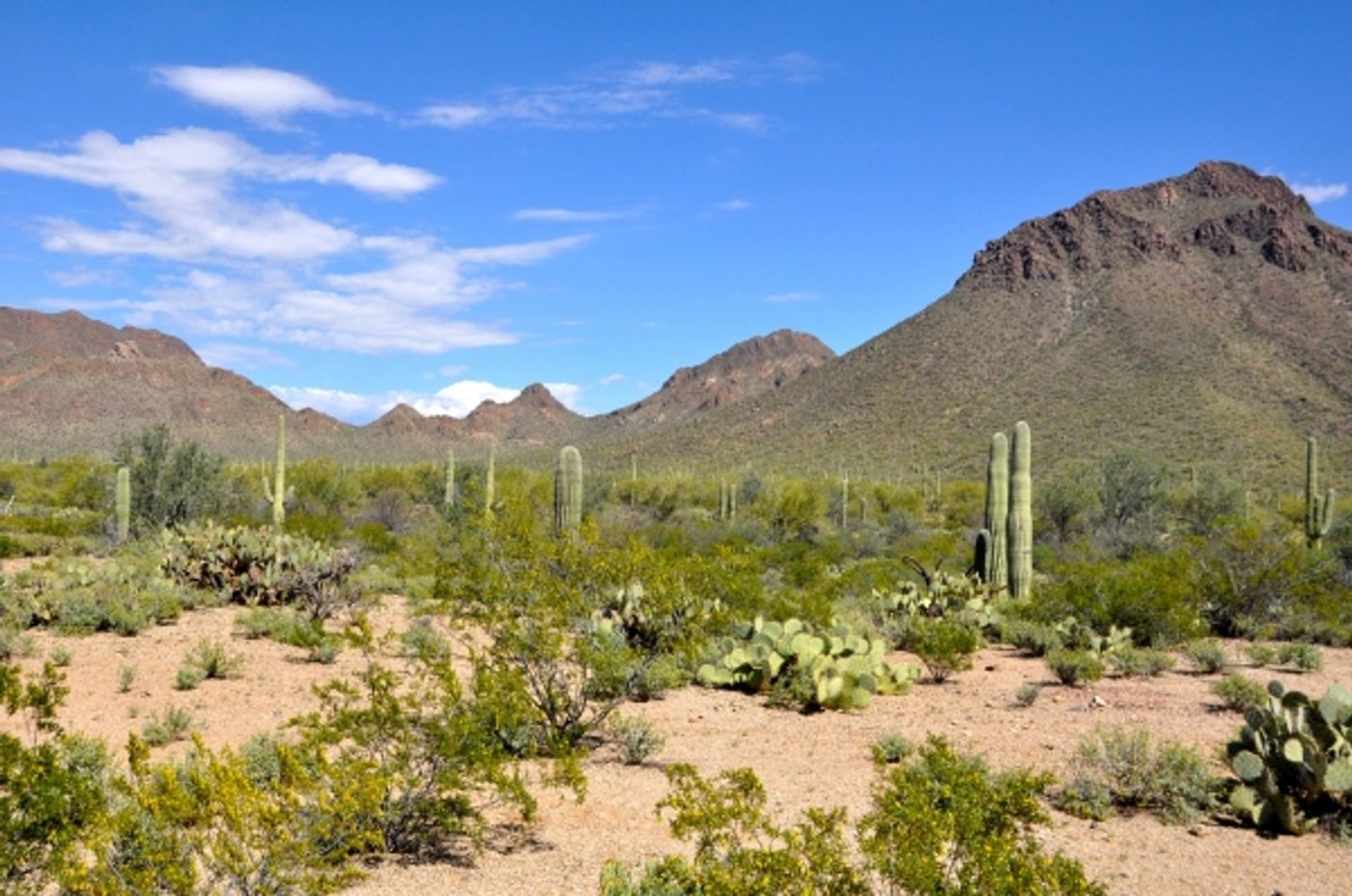 Photo Coverage: THE HIGH CHAPARRAL Cast Converges for 2015 Reunion  Image