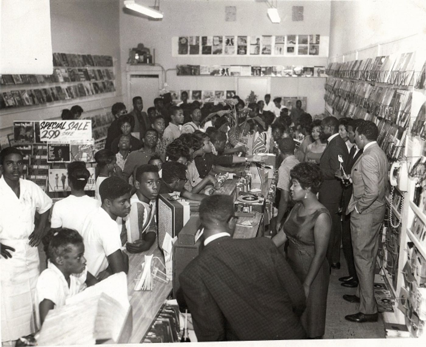 Photo Flash: Meet the Dolphins - The History Behind the World Premiere Musical RECORDED IN HOLLYWOOD  Image