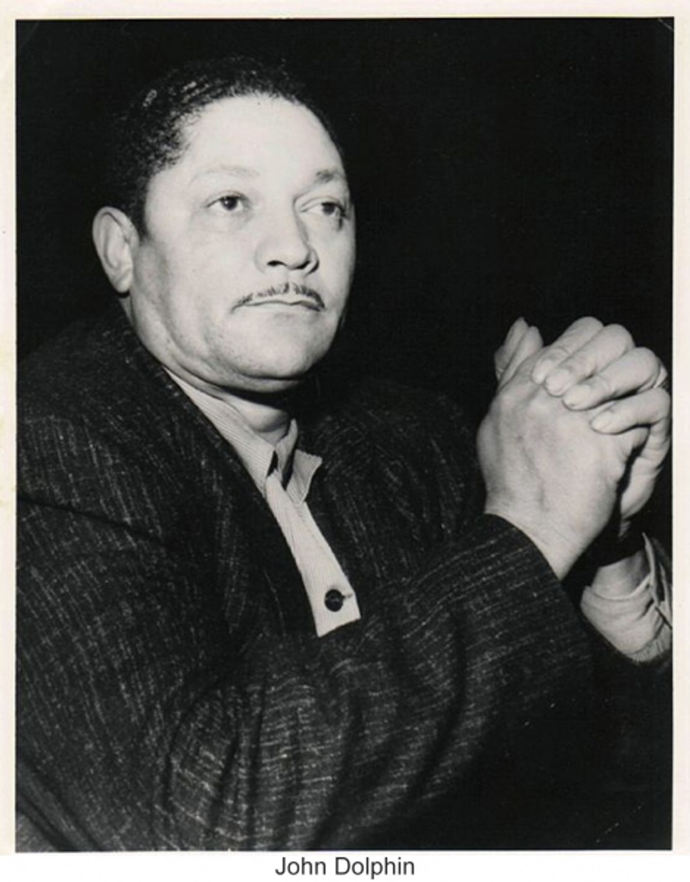 Photo Flash: Meet the Dolphins - The History Behind the World Premiere Musical RECORDED IN HOLLYWOOD  Image