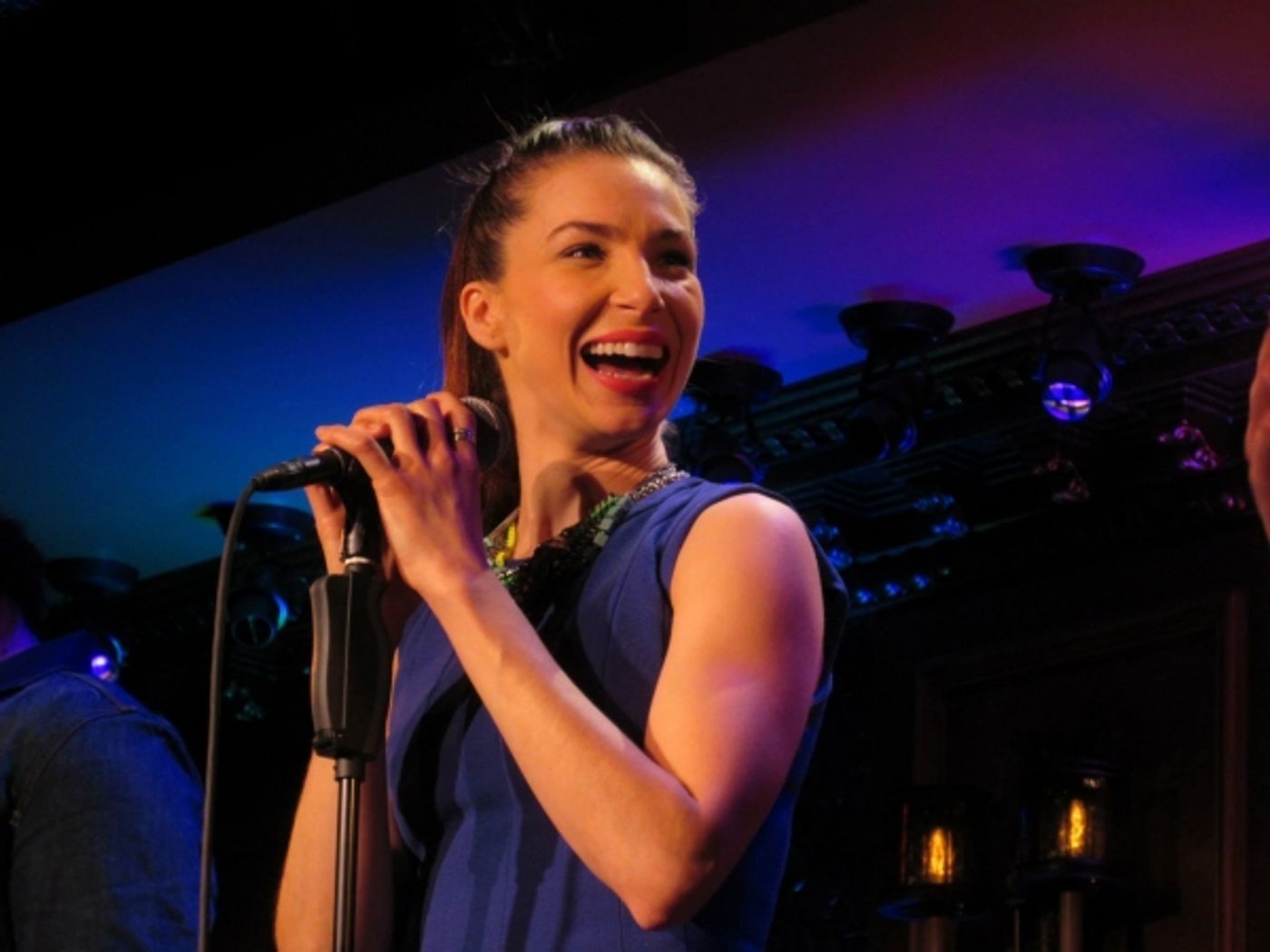 Photo Flash: Sean Matthew Whiteford's GIRLFRIEND FROM HELL in Concert at 54 Below  Image