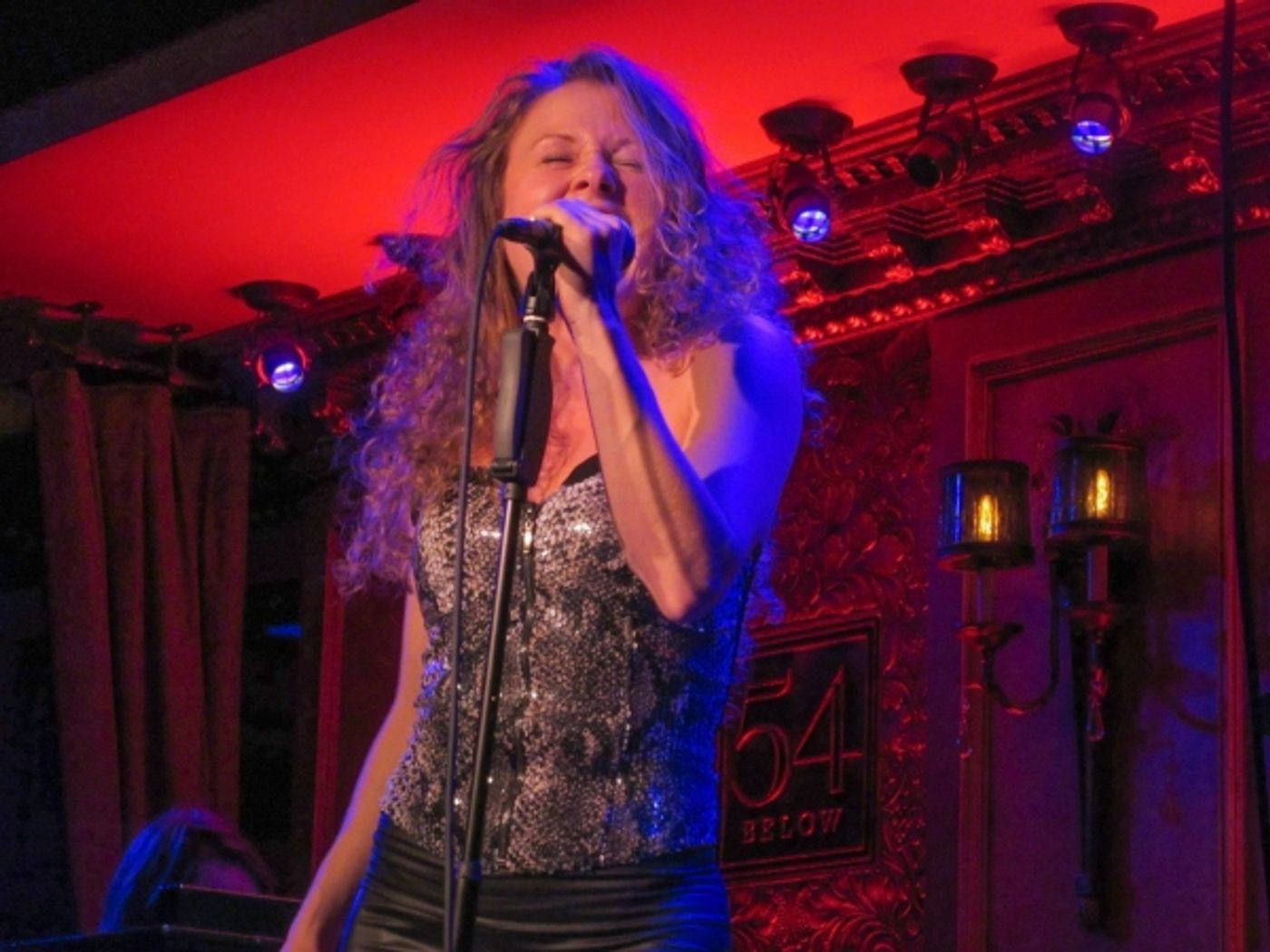Photo Flash: Sean Matthew Whiteford's GIRLFRIEND FROM HELL in Concert at 54 Below  Image
