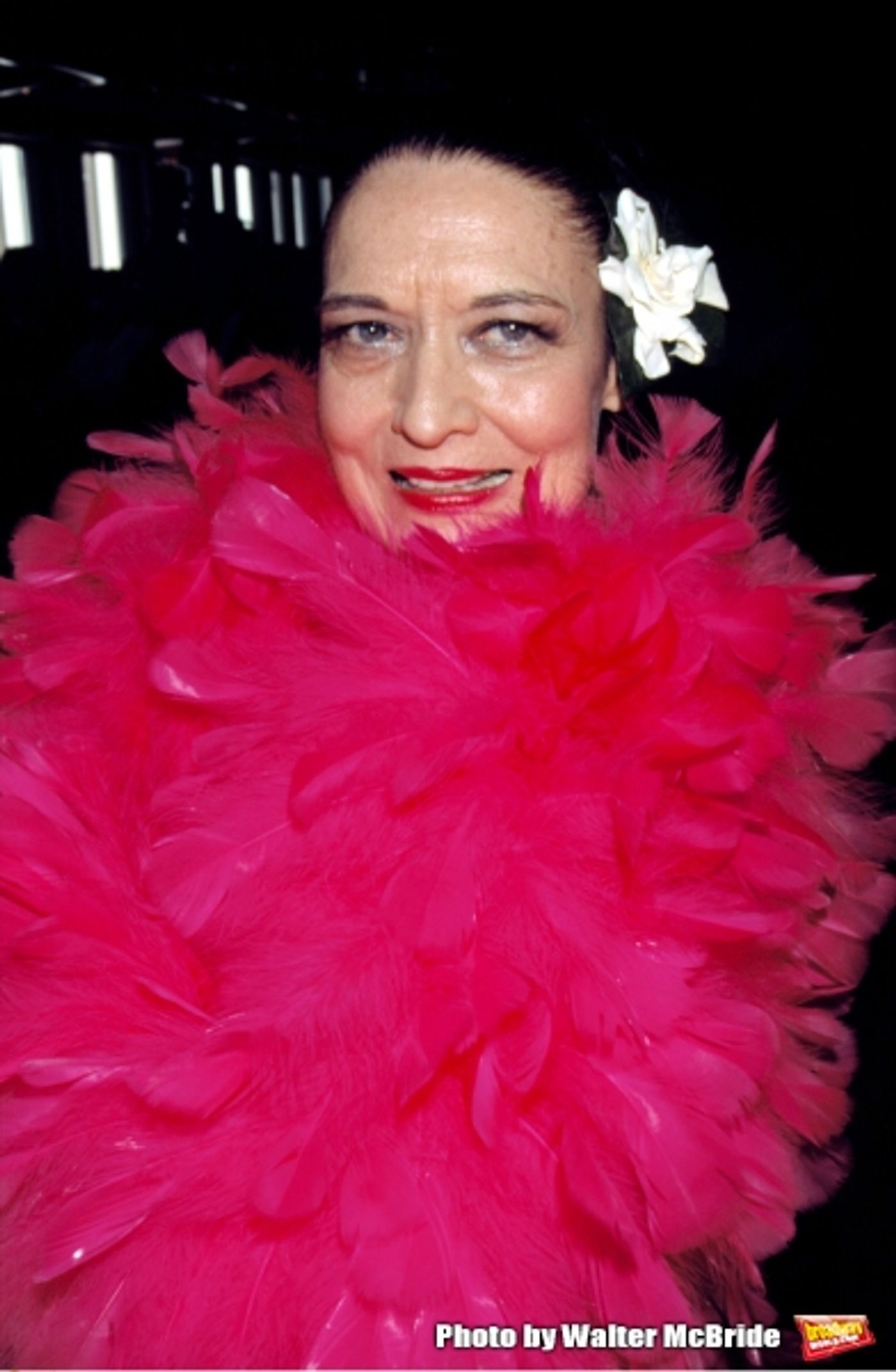 Photo Coverage: Remembering Julie Wilson  Image